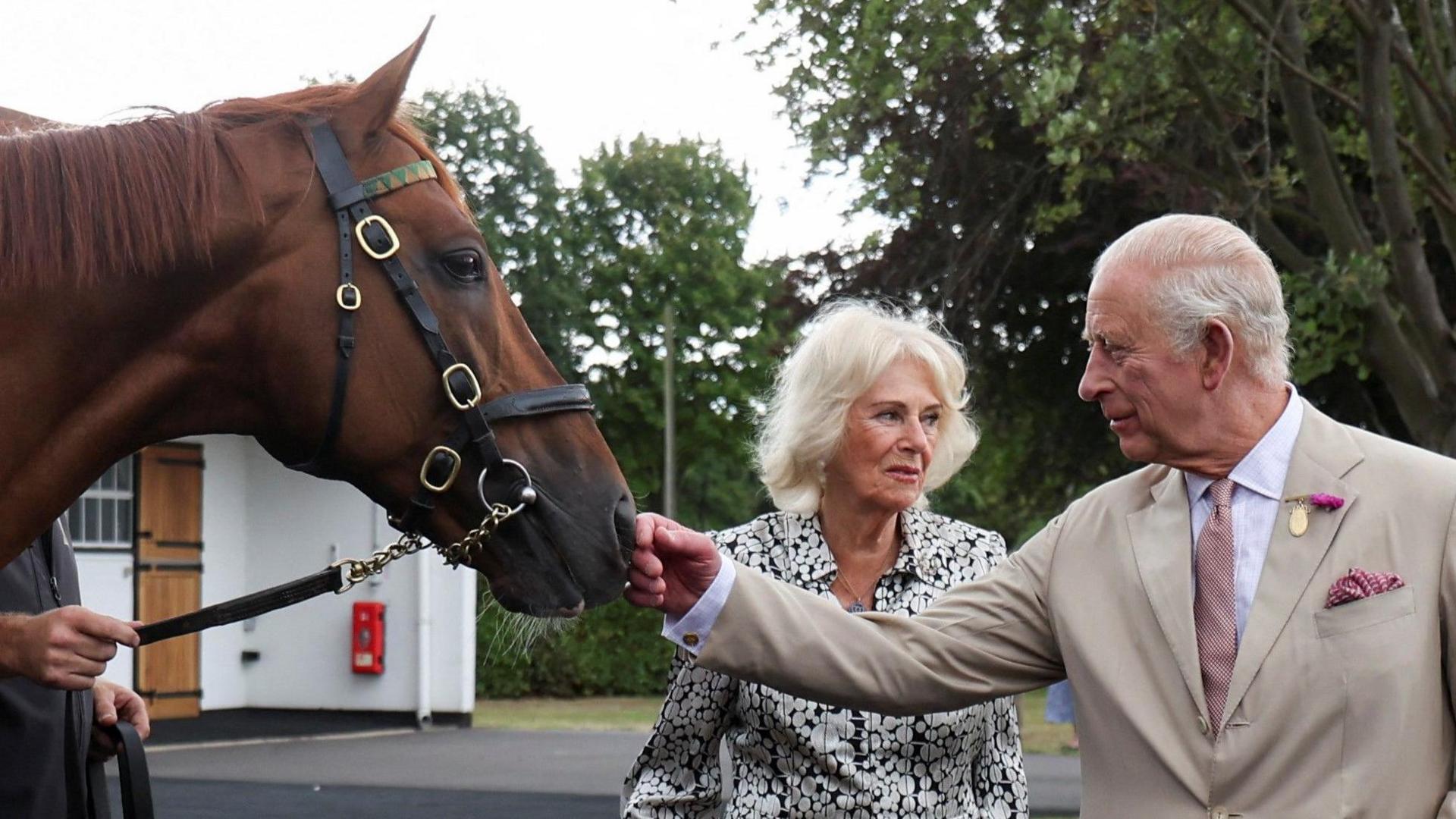 King Charles strokes the nose of a chestnut coloured race horse. He wears a cream coloured suit, white shit and pink tie. Queen Camilla stands behind the King and looks away from him and the horse. She has short grey hair and wears a black and white dress. She is holding a clutch bag in one hand. 