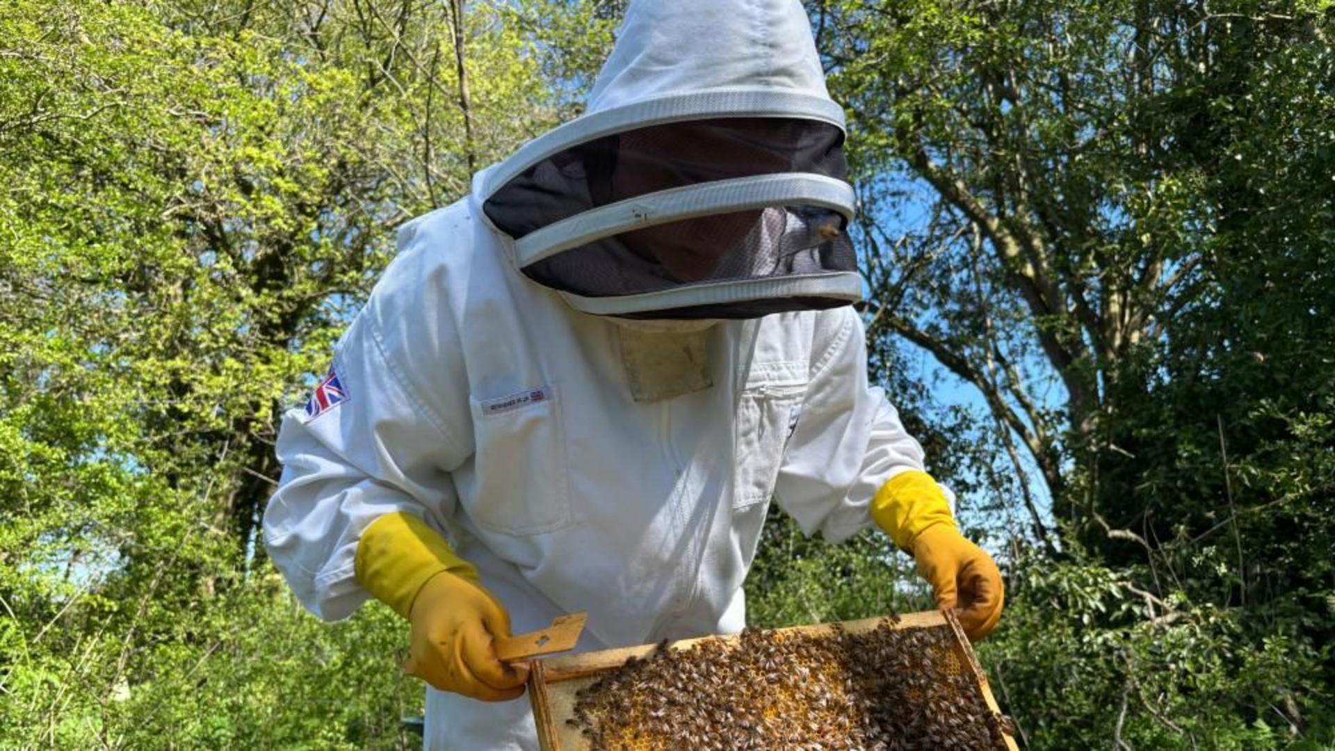 'Beekeeping helps me clear my mind and get better headspace'