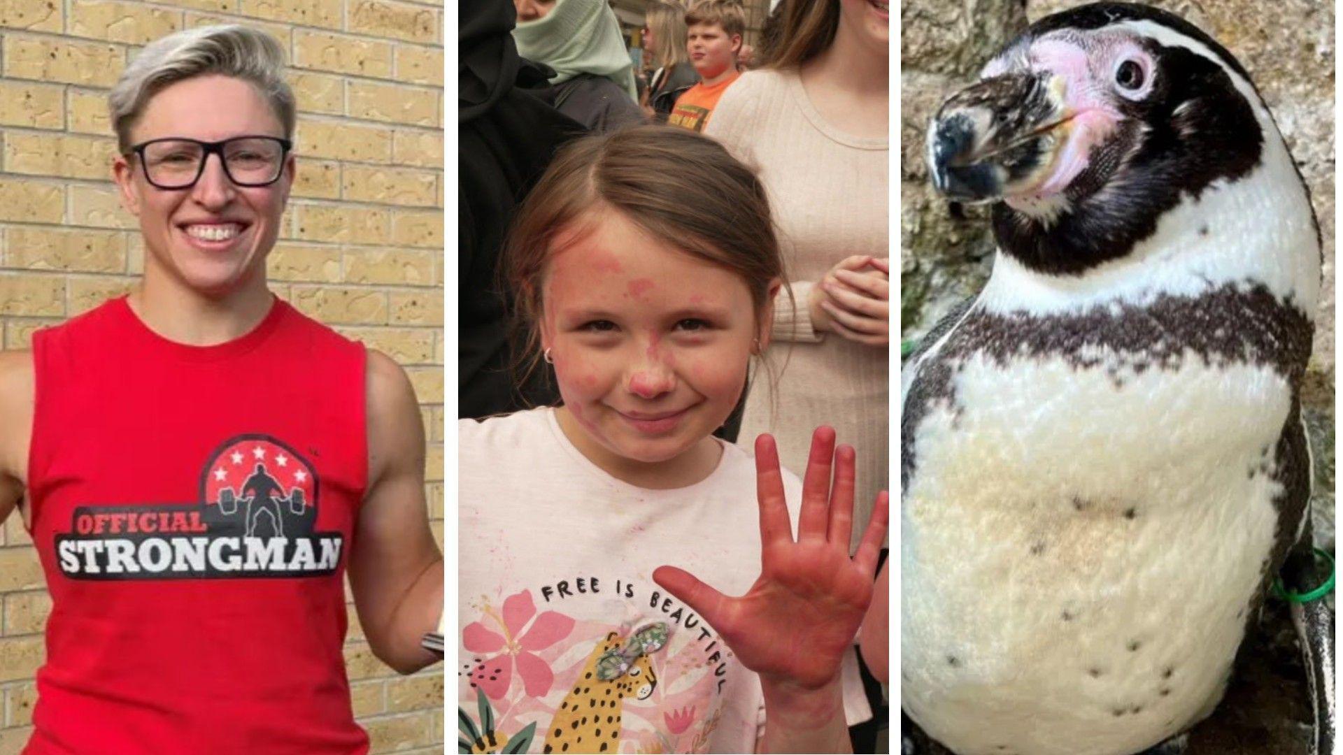 Three images: a woman in a red vest, a child with red dye on her hands and face, and a penguin