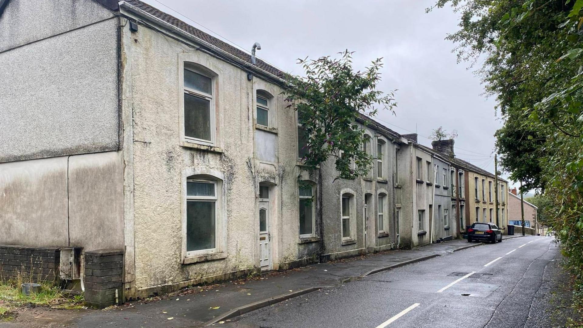 Homes in Cyfyng Road, and a tree appearing to grow out of the upstairs window of one property