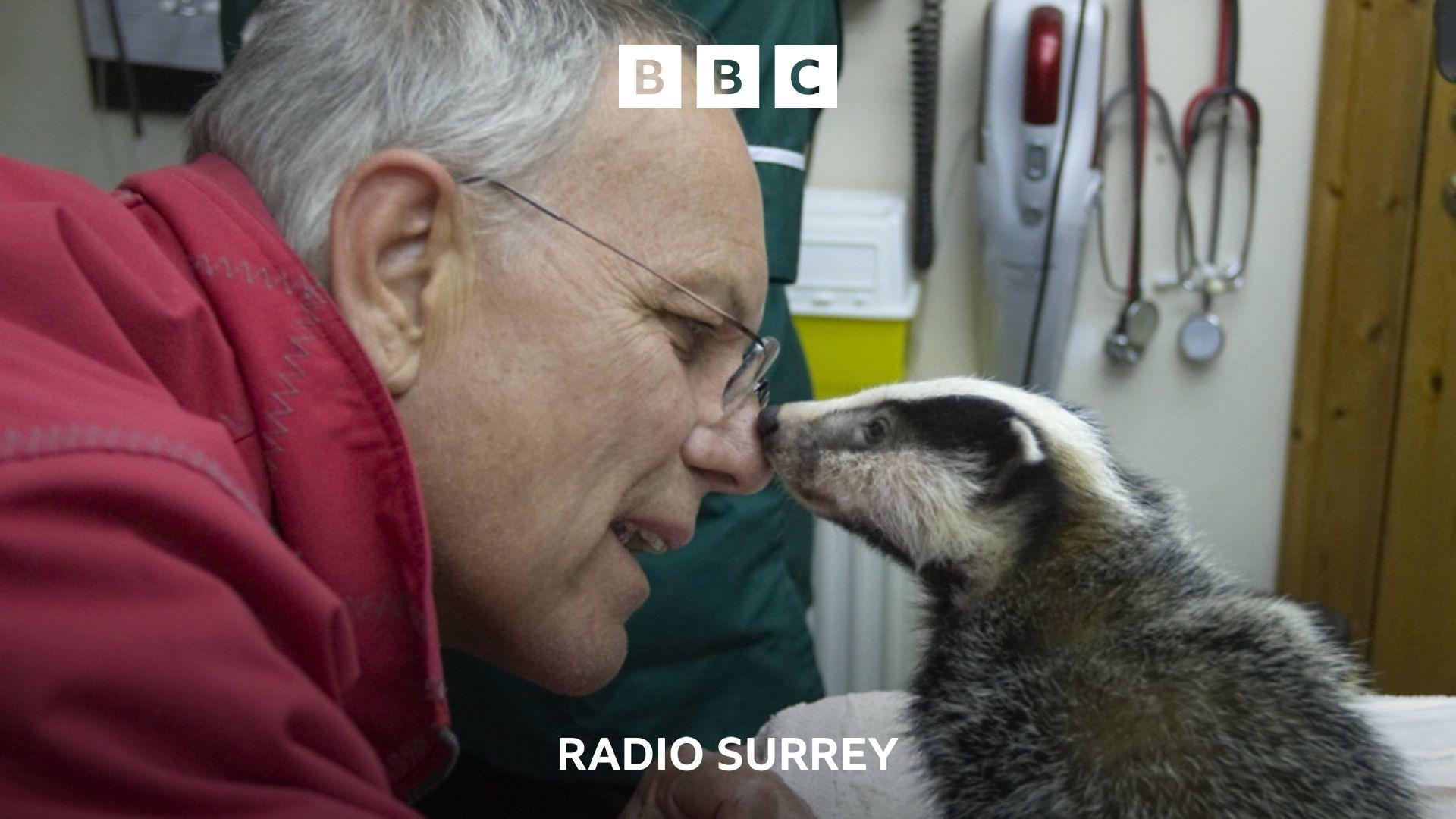 Wildlife campaigner and conservationist Simon Cowell touches noses with a baby badger.