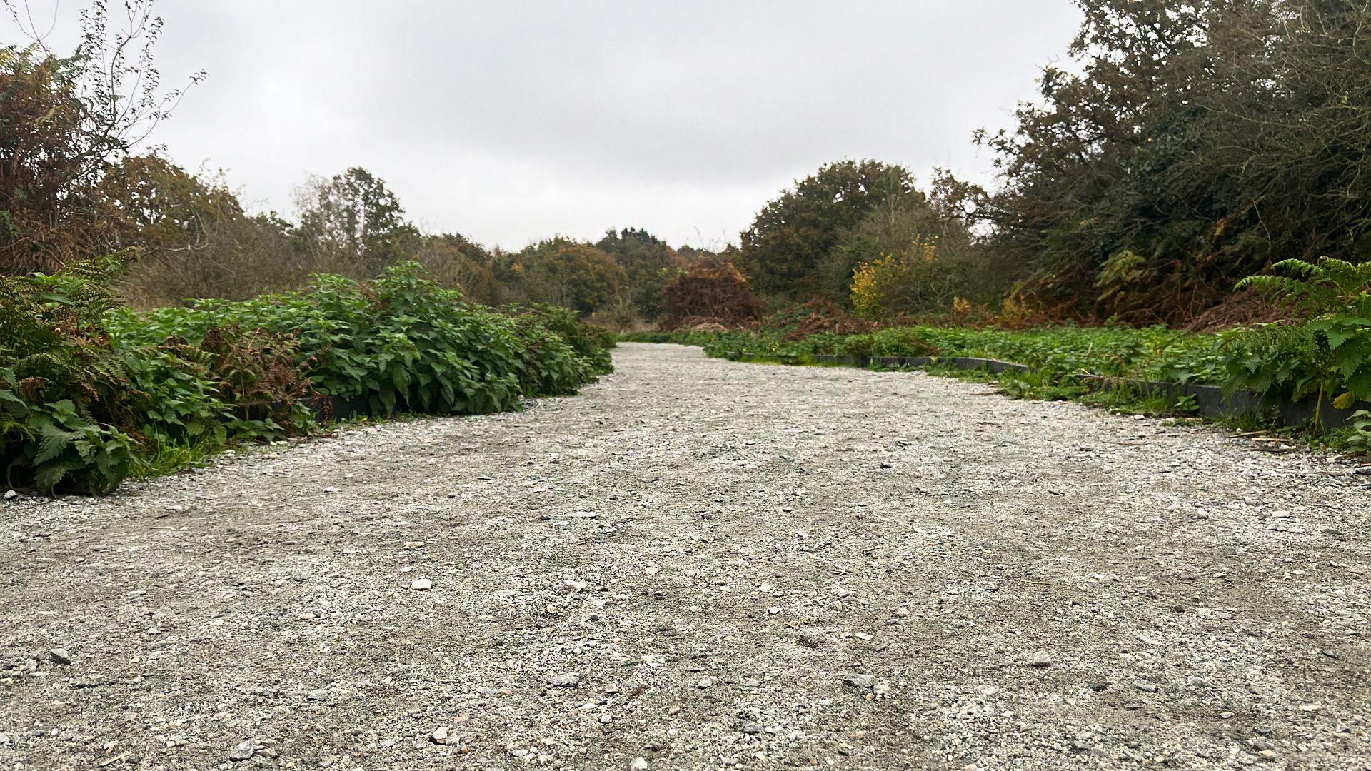 A hard grey gravel path going through shrubland.