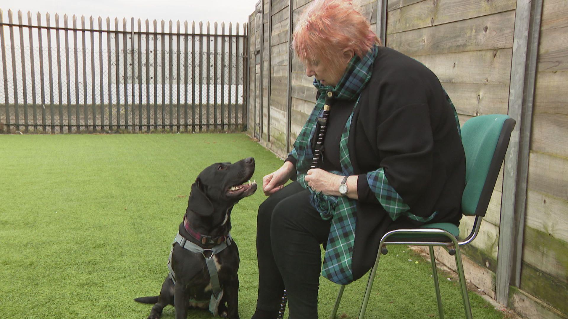 Christine Grahame MSP with Susan the dog at the Edinburgh dog and cat home