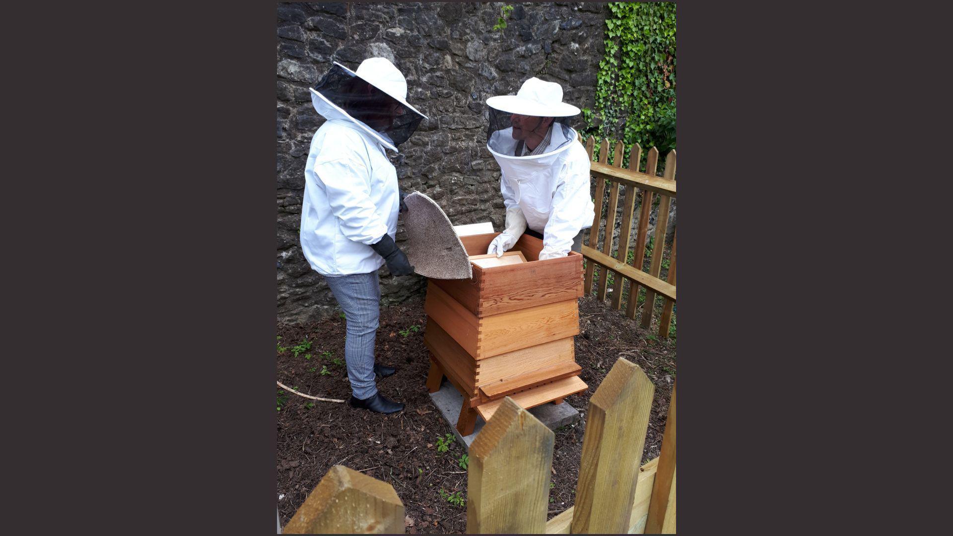Two beekeepers standing behind a wooden fence and arranging a newly-installed beehive at Rochester Cathedral gardens.