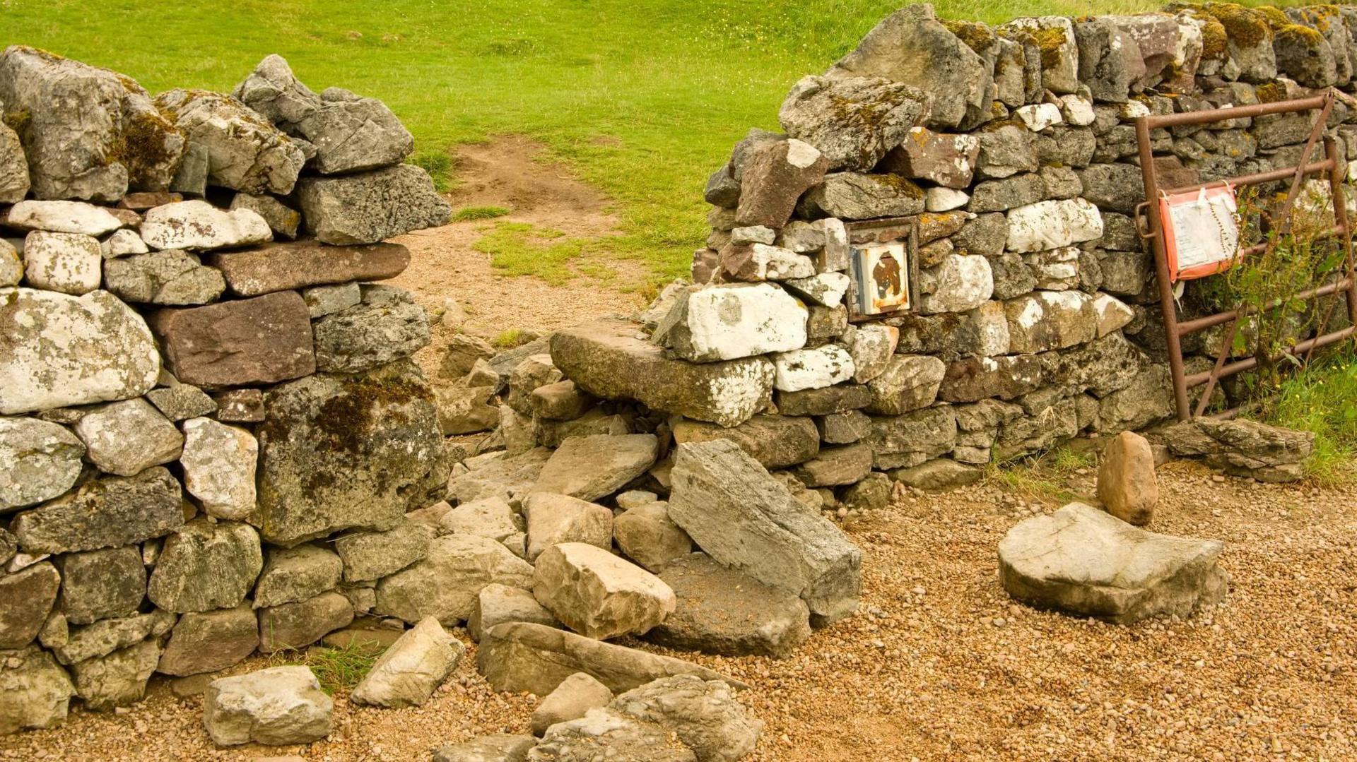 Large stones lie on the ground after being removed from a drystone dyke.