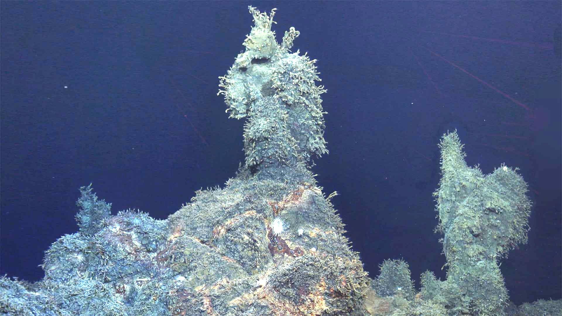 Underwater vent