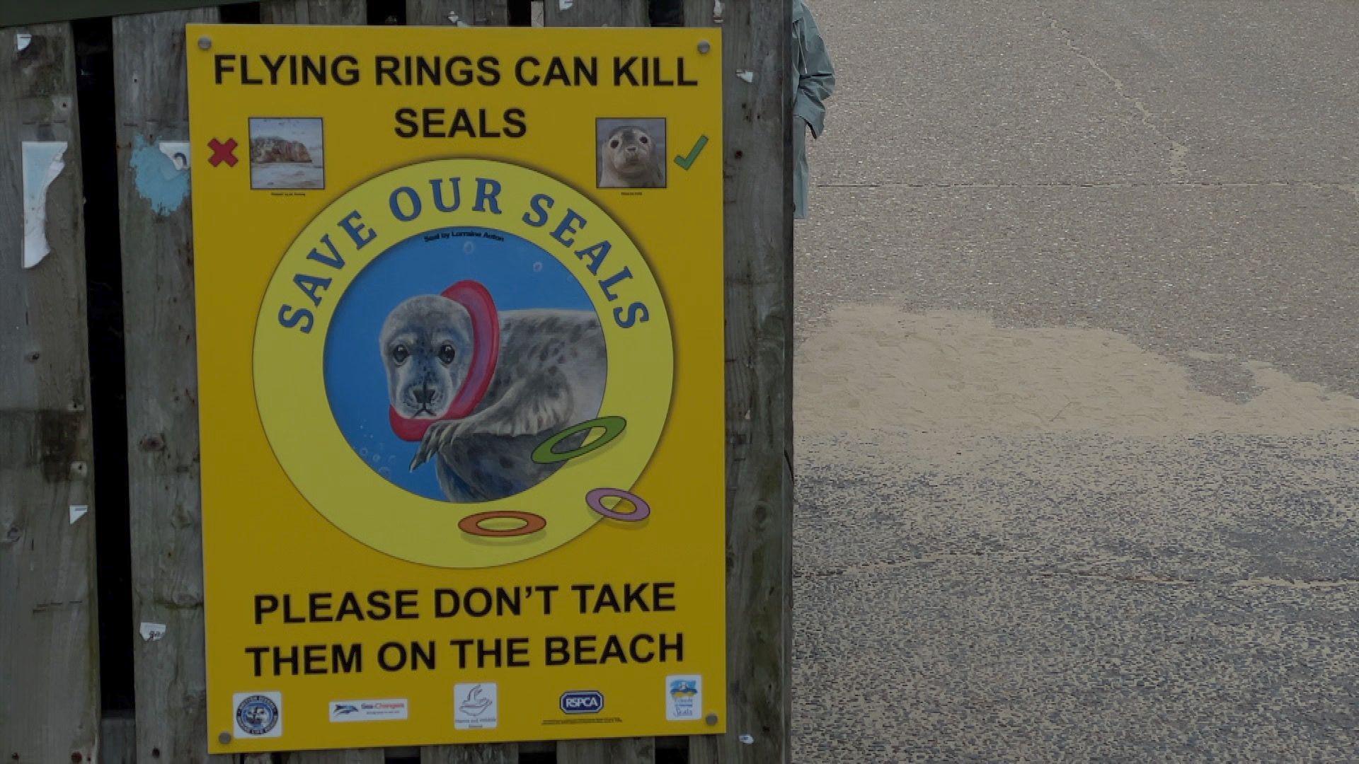 A yellow sign attached to a wooden fence at the entrance of a beach. The sign has an illustration of a seal on it with a plastic flying ring around its neck. The sign says FLYING RINGS CAN KILL SEALS. SAVE OUR SEALS. PLEASE DON'T TAKE THEM ON THE BEACH.