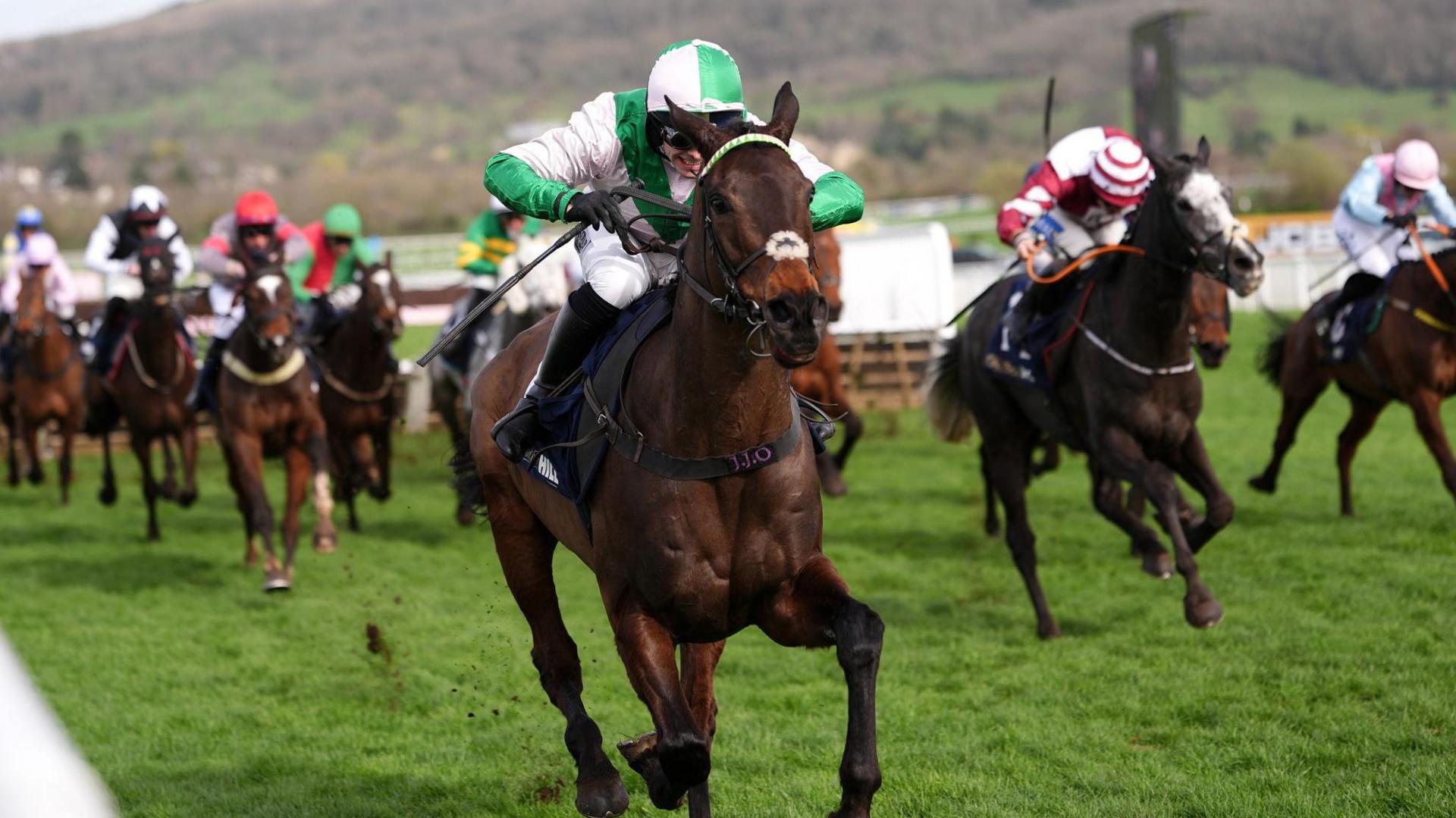 Racing at Cheltenham