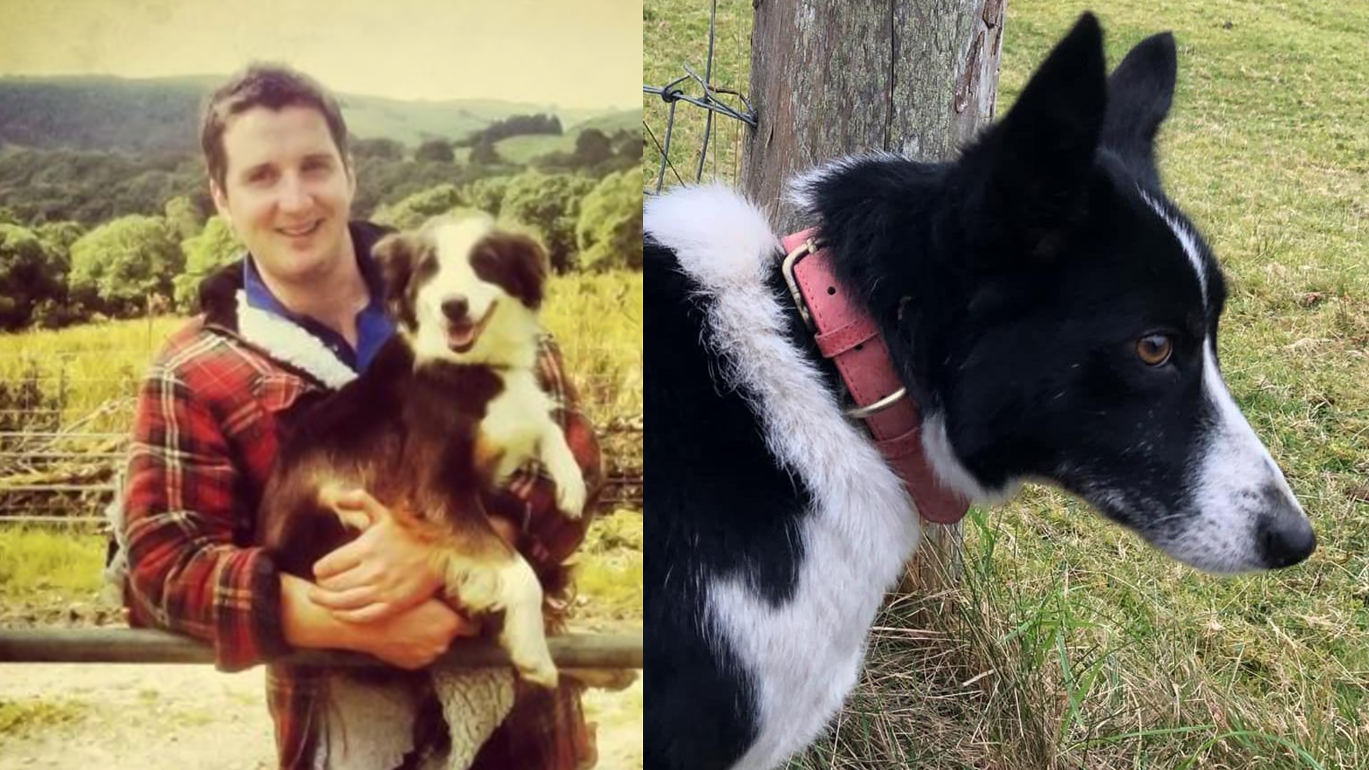 Ifan pan yn ffermwr ifanc a'i gi ffyddlon Nan