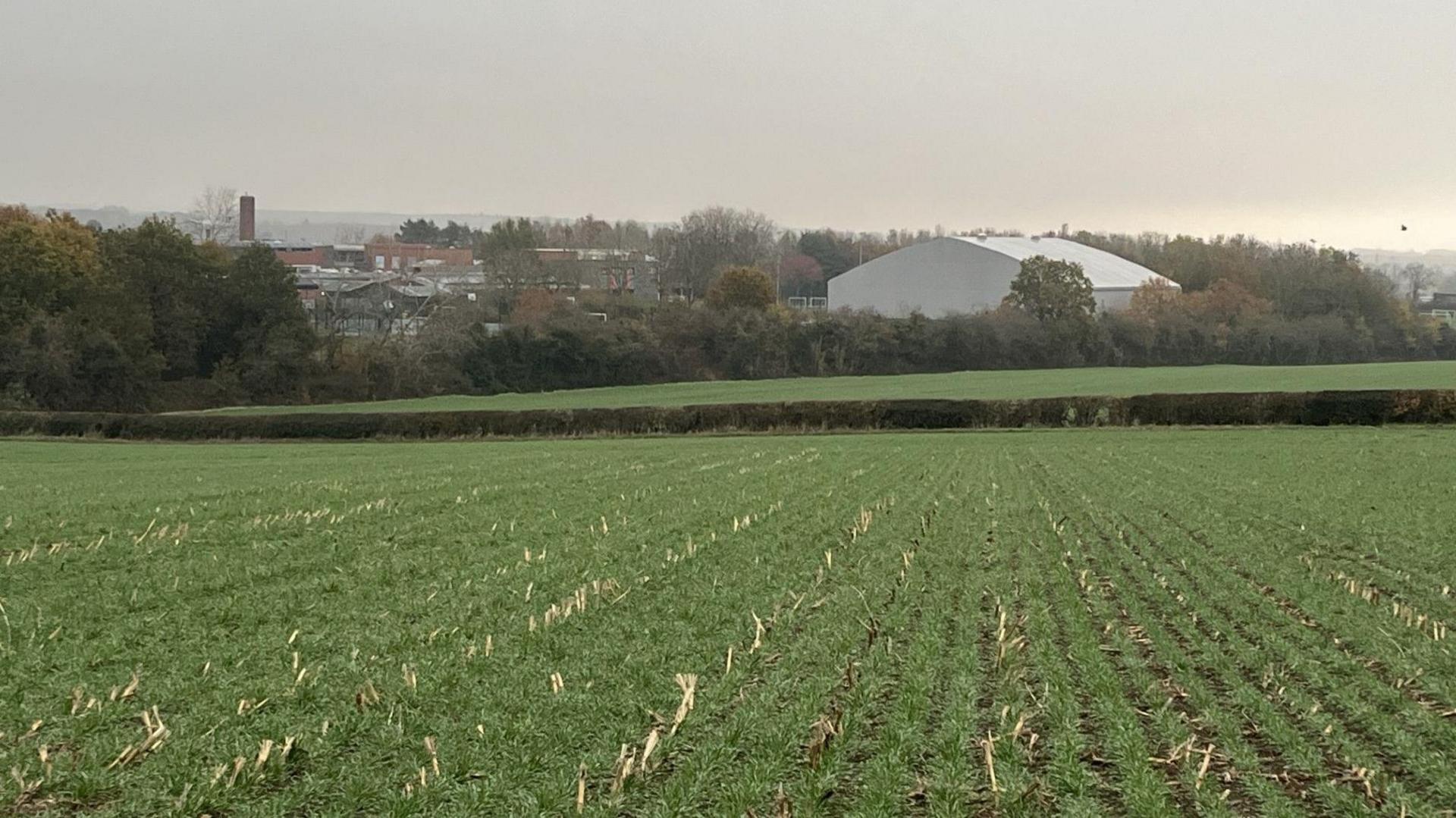 Fields in front of a school campus