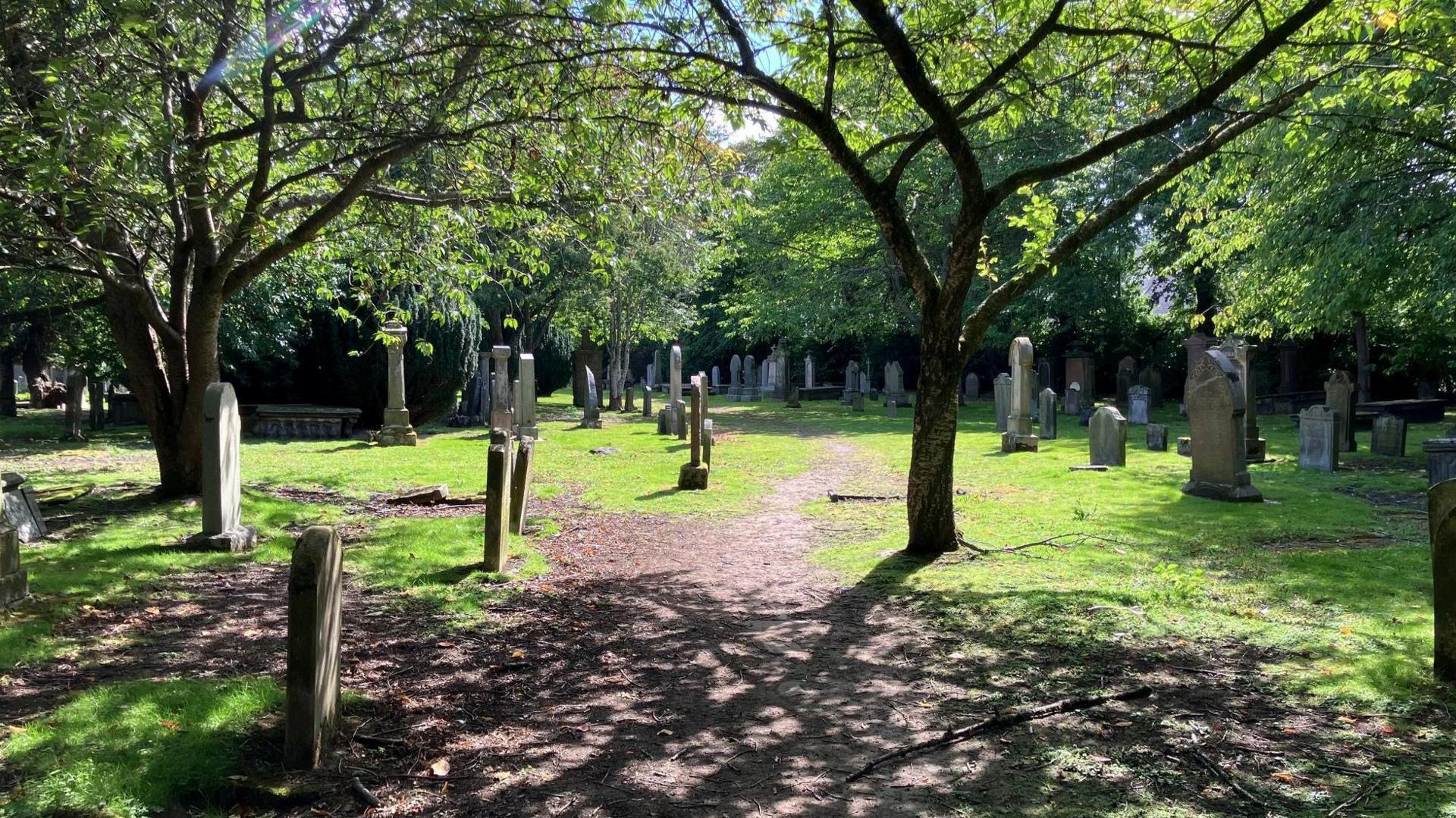 Gravestone under trees in Inverness' Chapel Yard Cemetery. The leaves of the trees cast dabbled shadows on the ground.