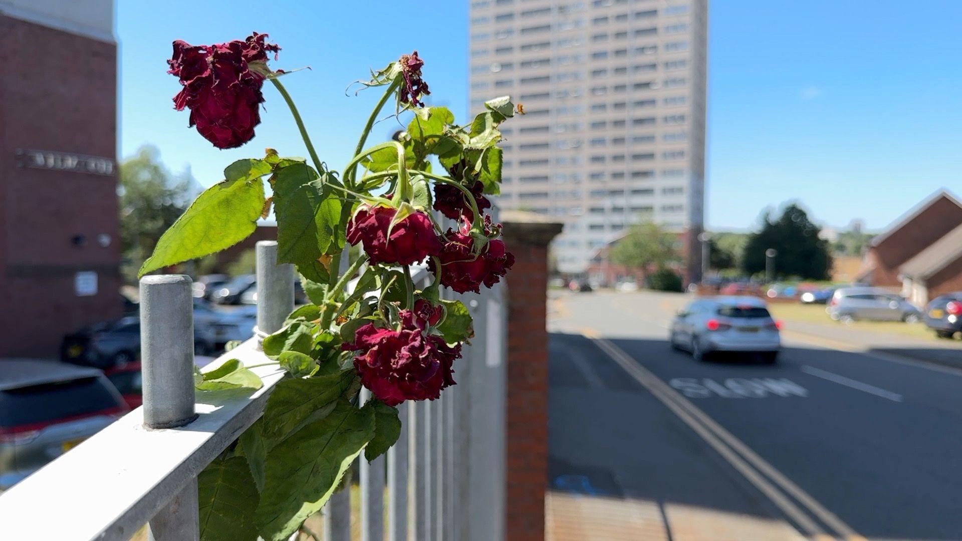 Red roses have been tied to a railing close to where the four-year-old died. They are withered.