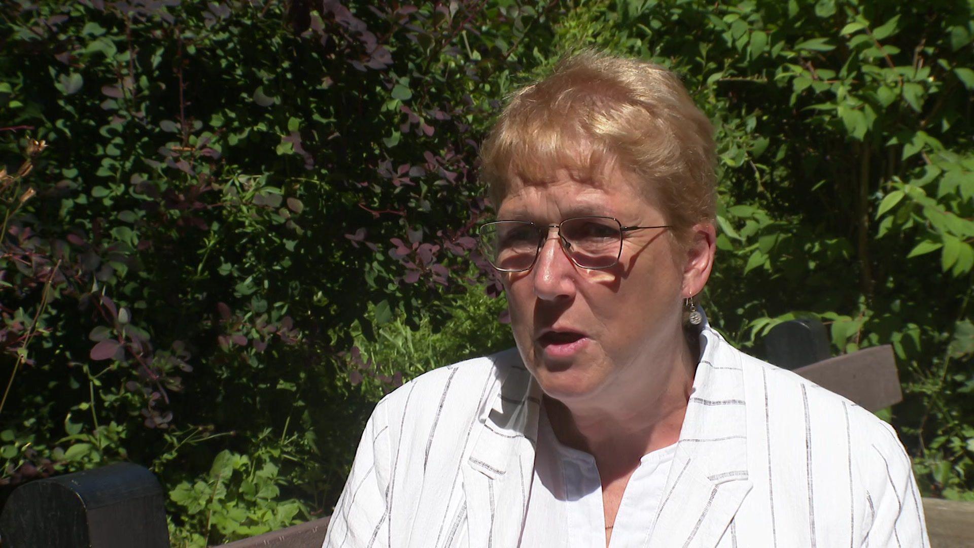 Ann Davies, AS Caerfyrddin