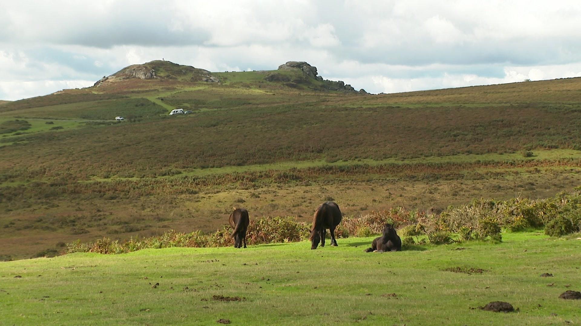 A photo of Dartmoor