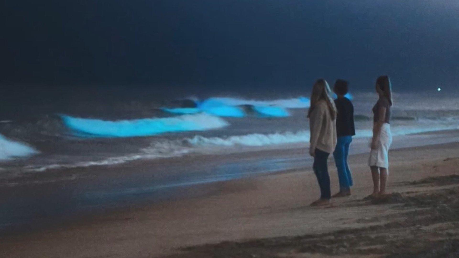 It's an incredible sight! Check out these pictures of the glowing waves on a San Diego beach.