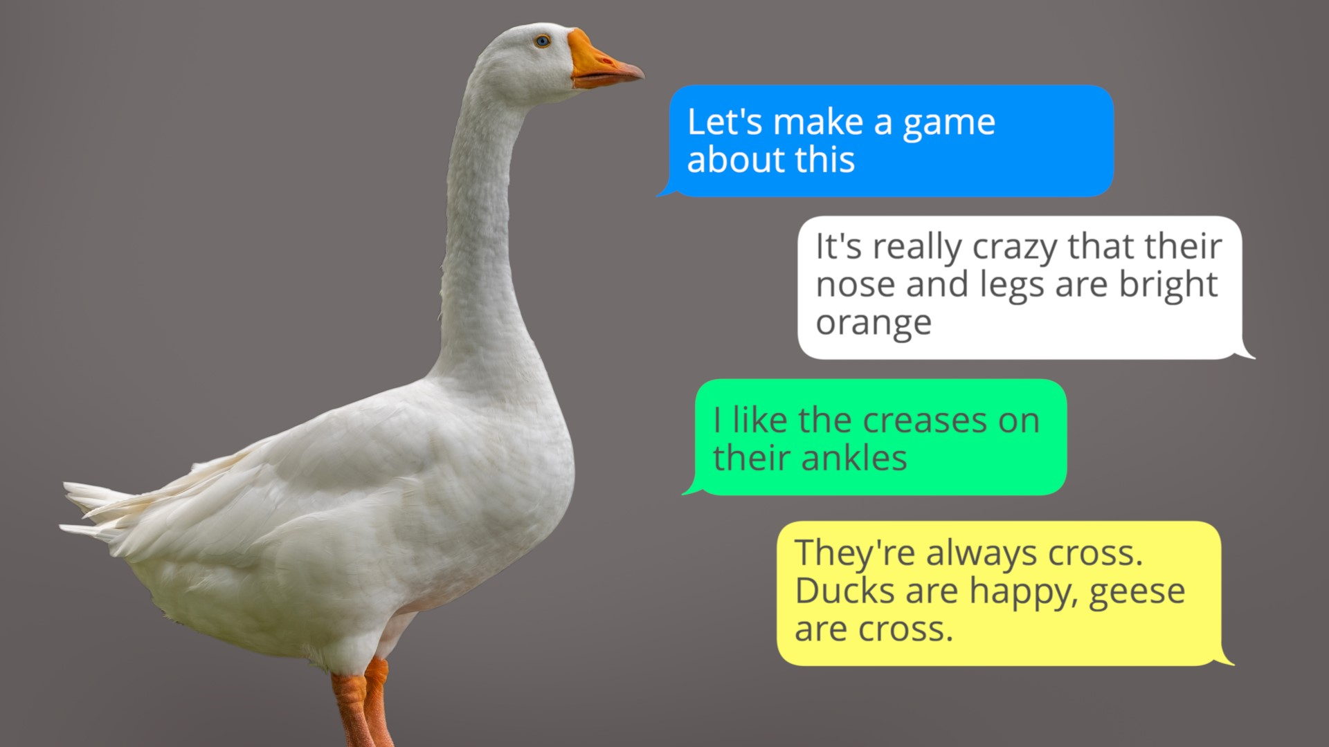 A group chat with a photo of a goose in it