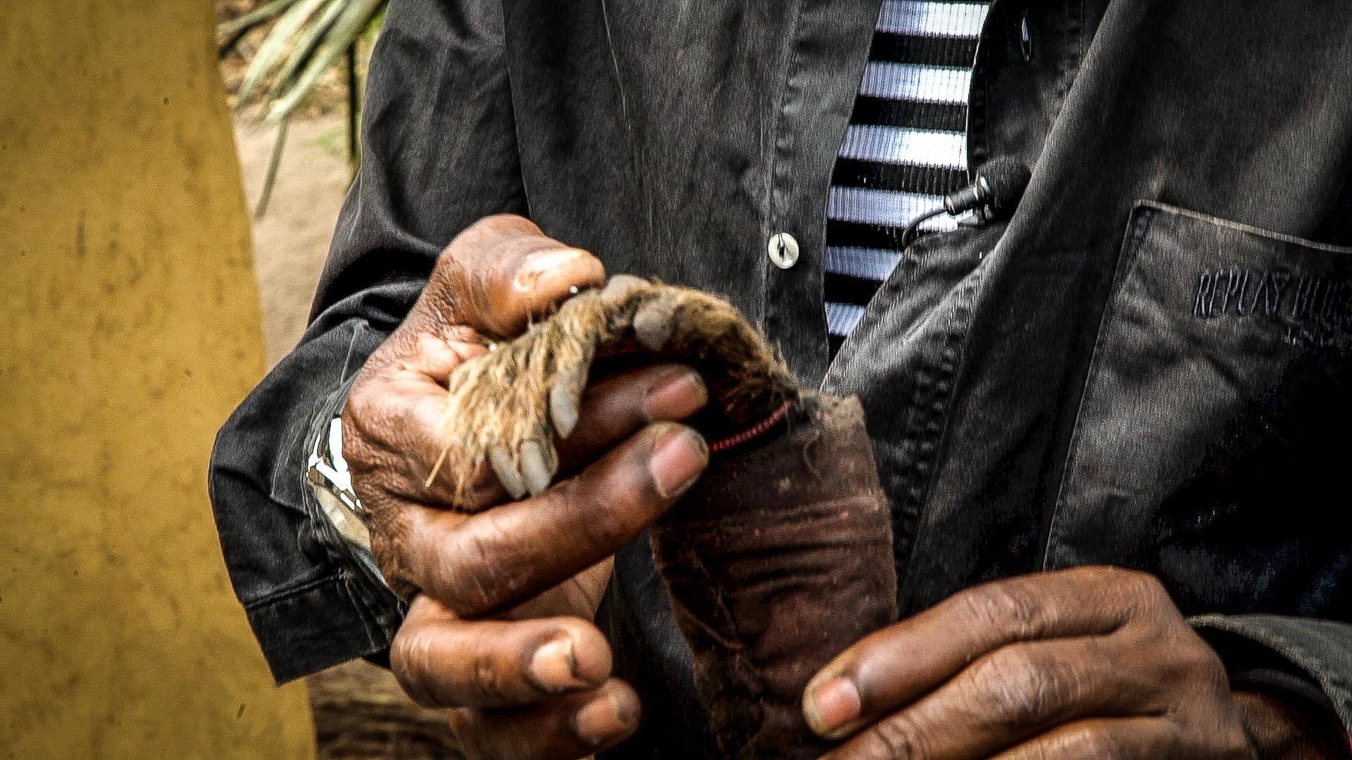 Ritual magic artefact: a dried monkey hand.