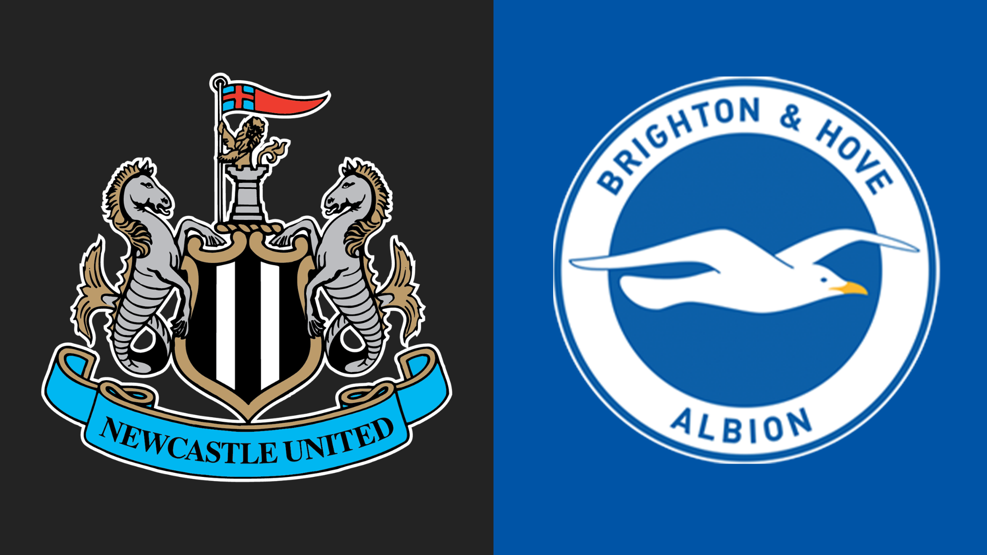 Newcastle v Brighton