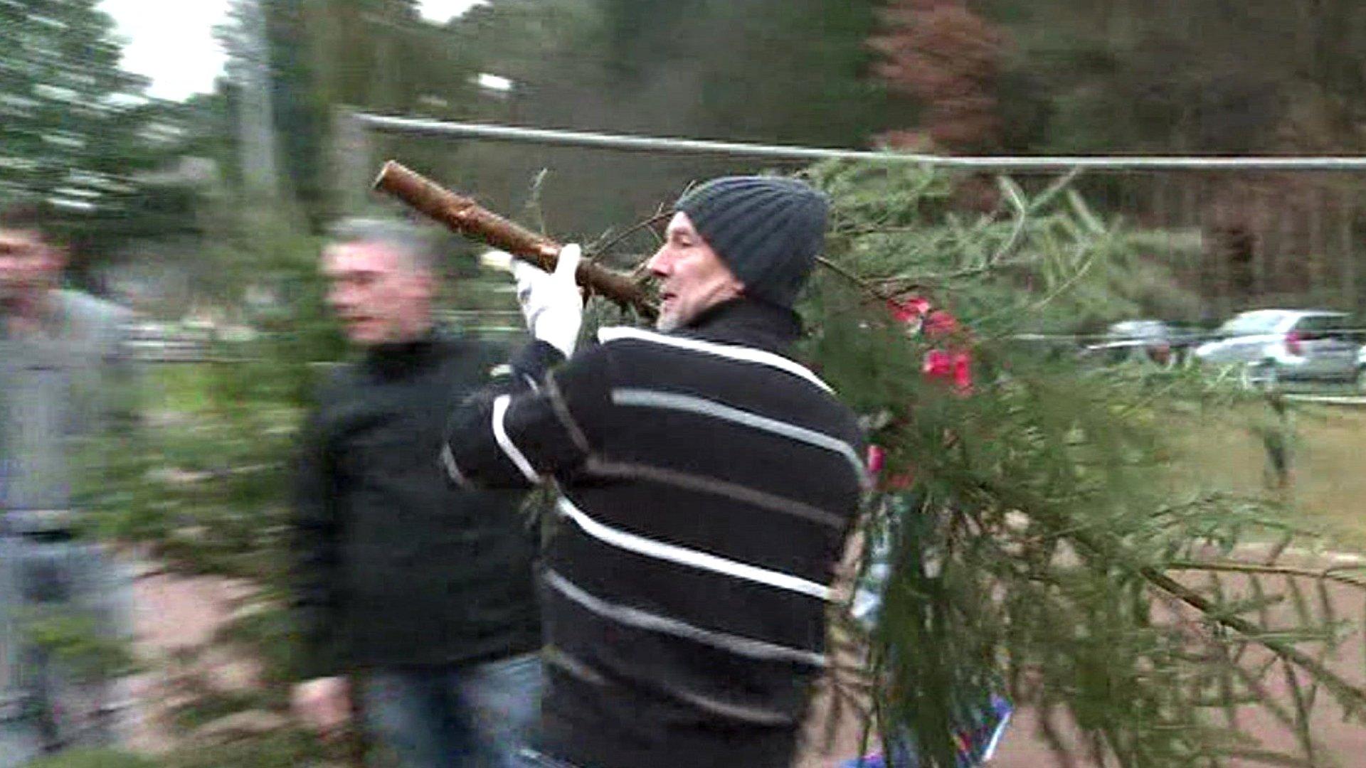 Man throwing Christmas tree