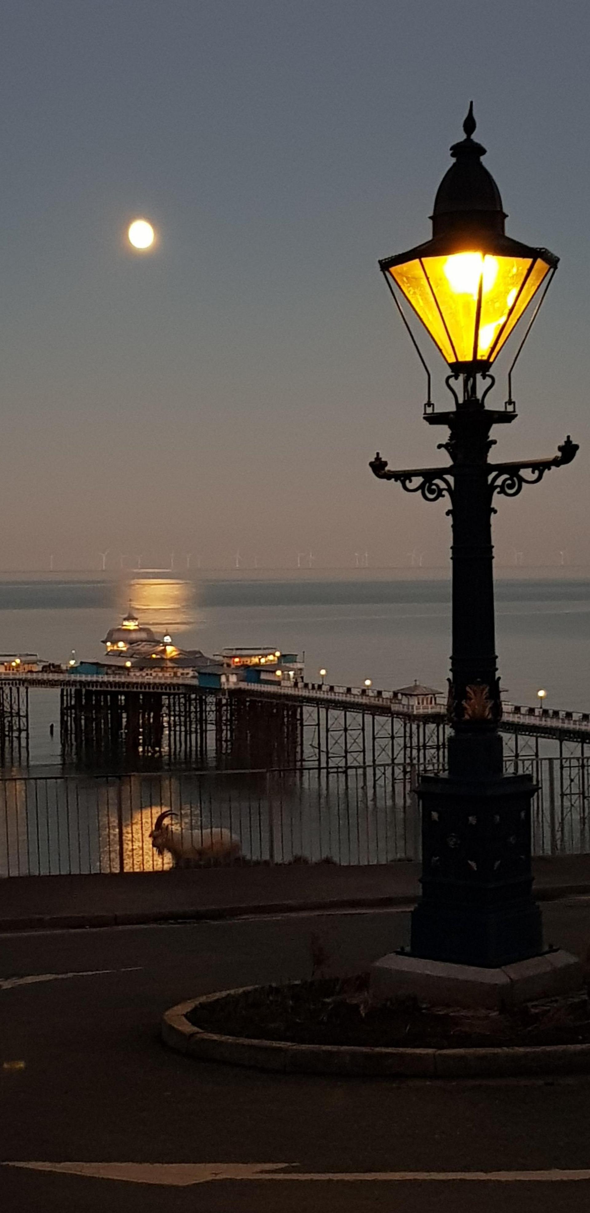 Llandudno Pier in Conwy