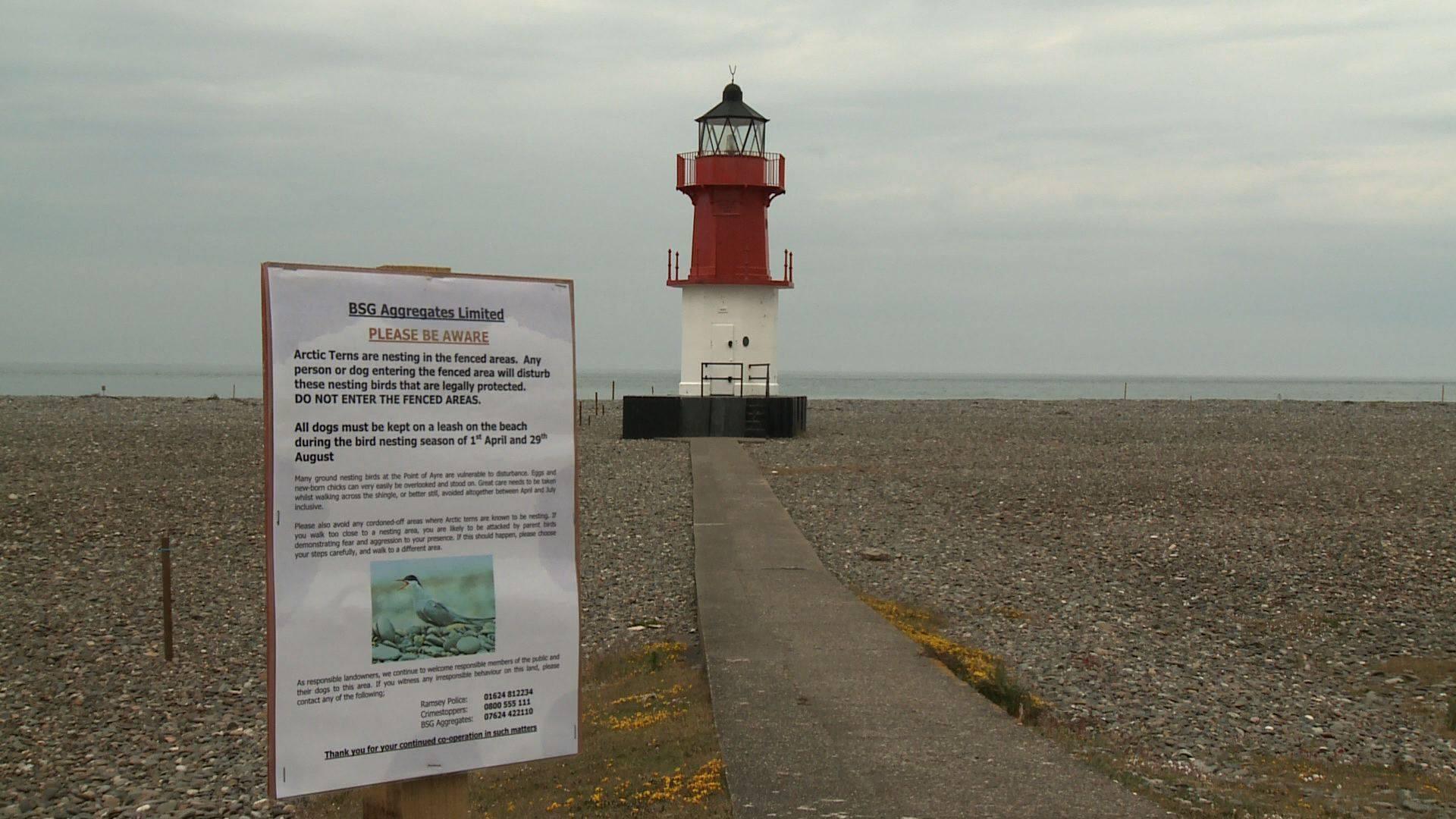 Nesting Tern Warning Sign