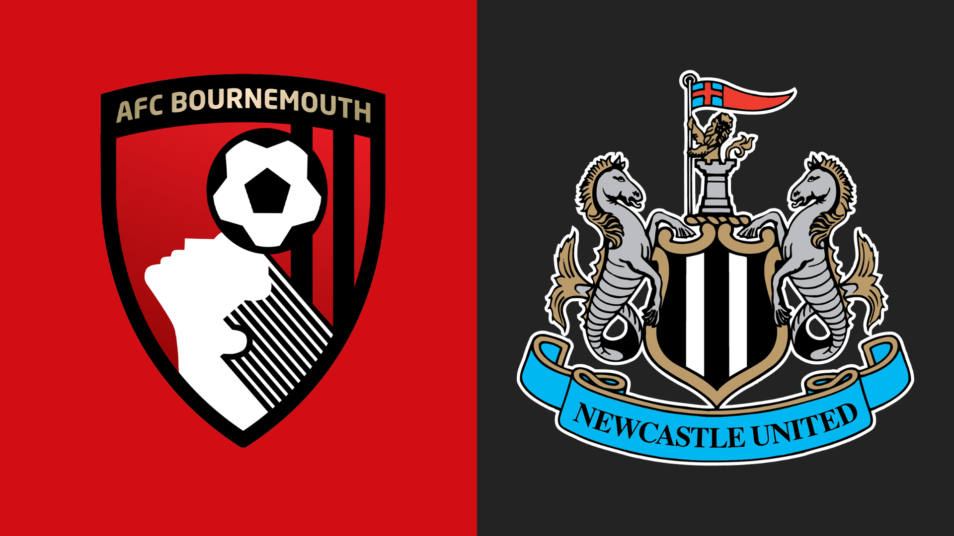 Bournemouth v Newcastle