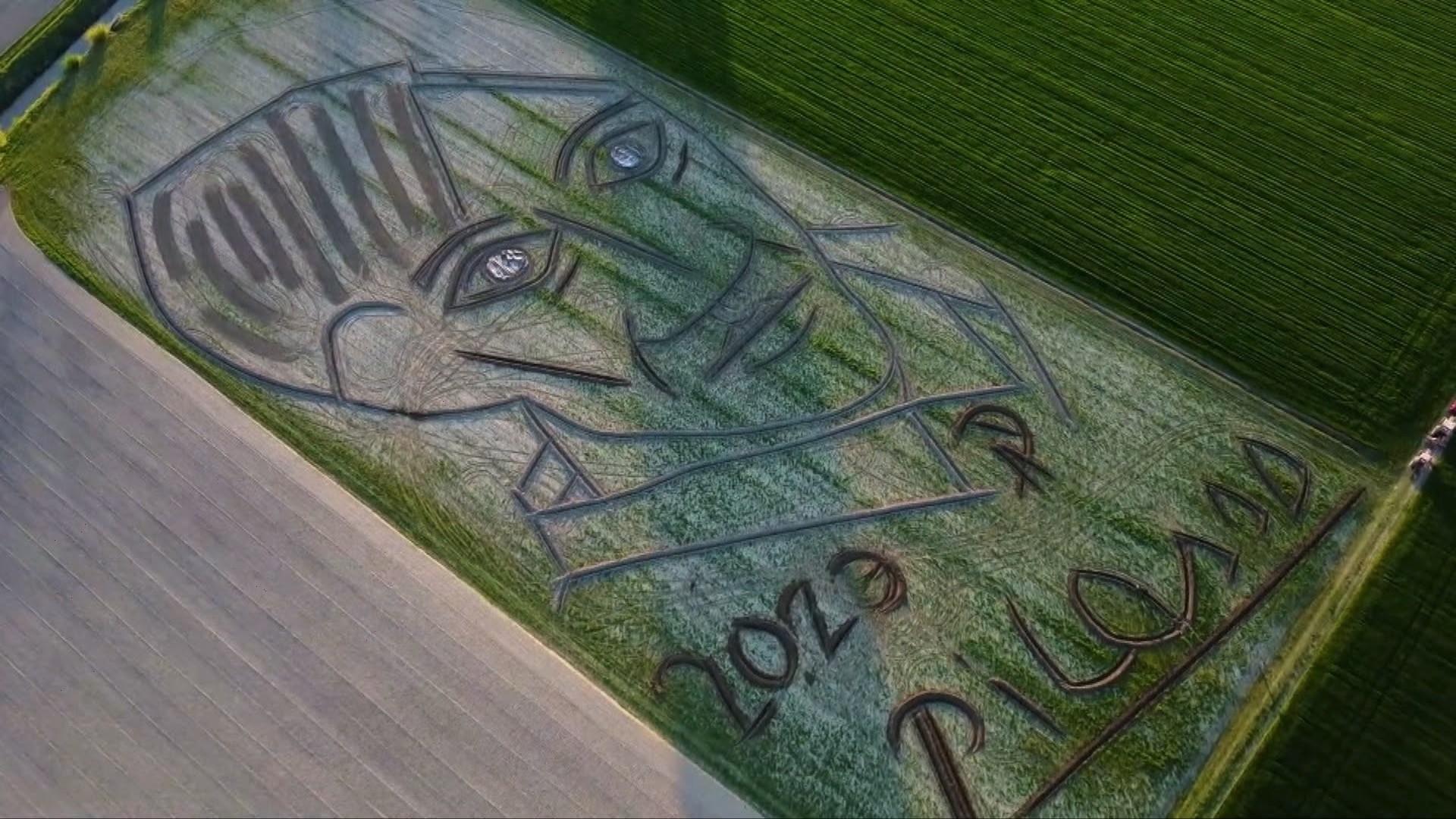 Picasso portrait in field