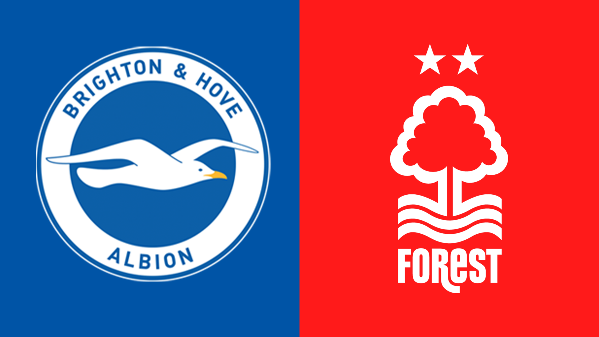 Brighton v Nottingham Forest