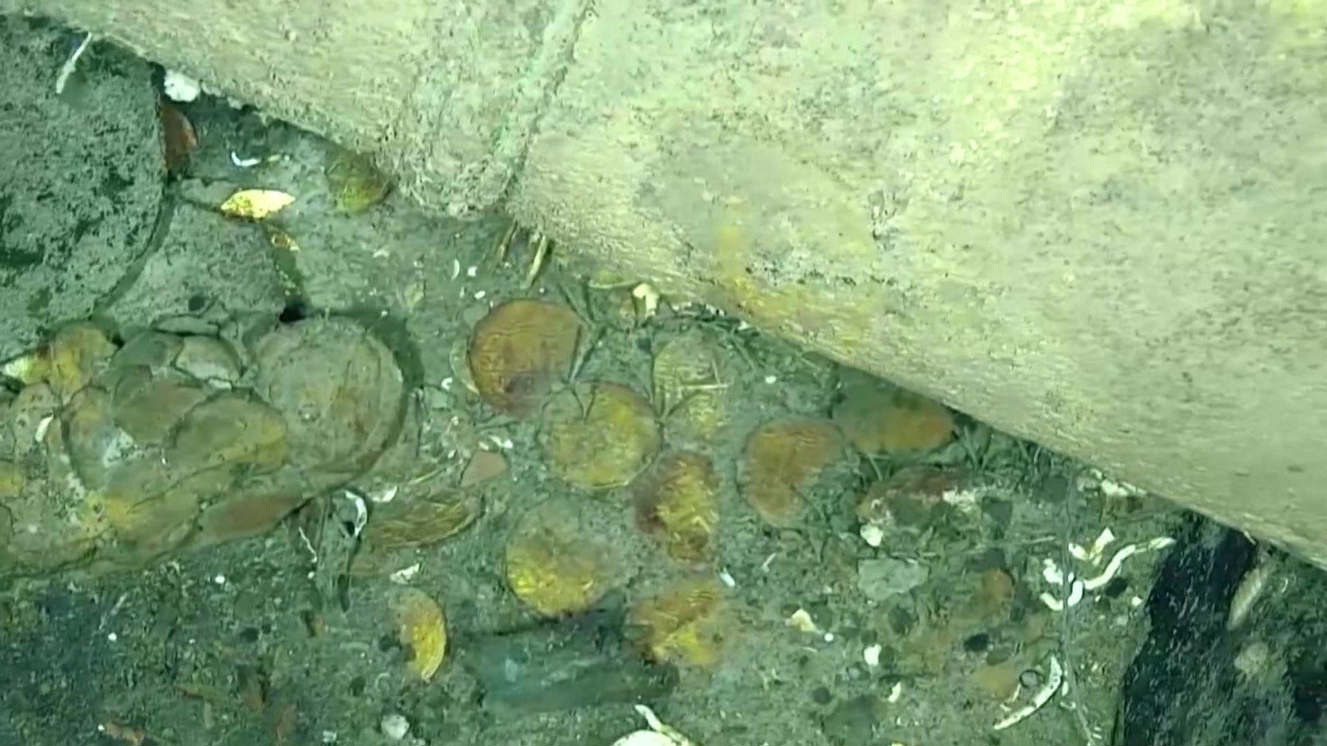 Pottery was spotted on the seafloor along with cannons, glass bottles and gold!