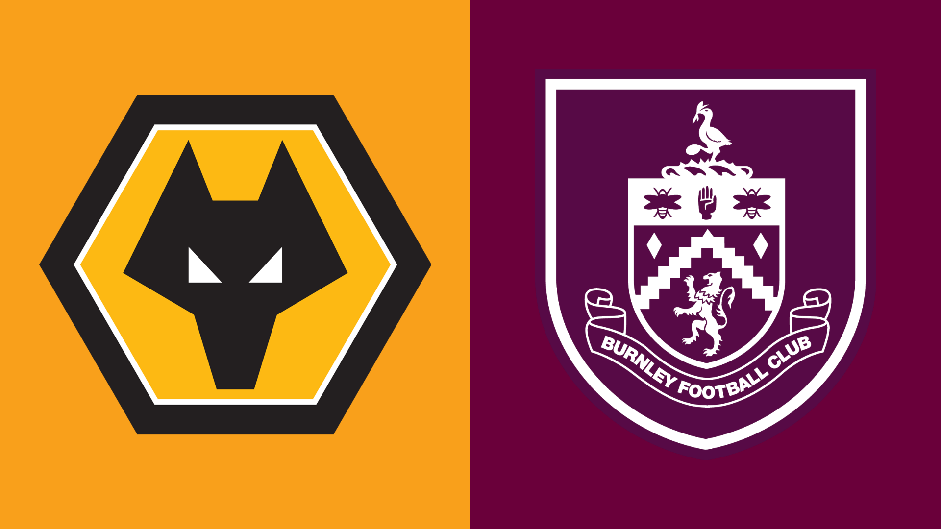 Wolves v Burnley