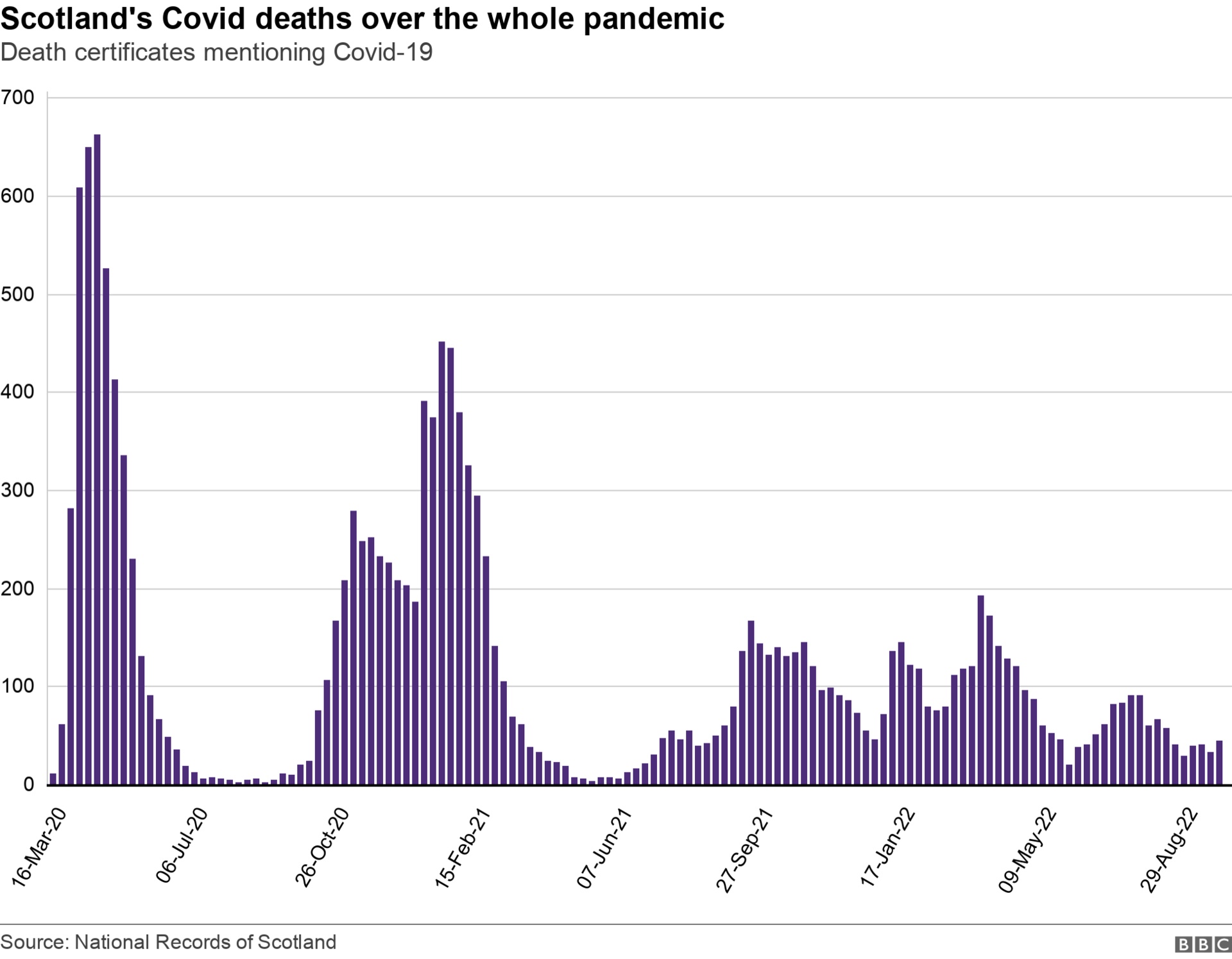 Covid deaths