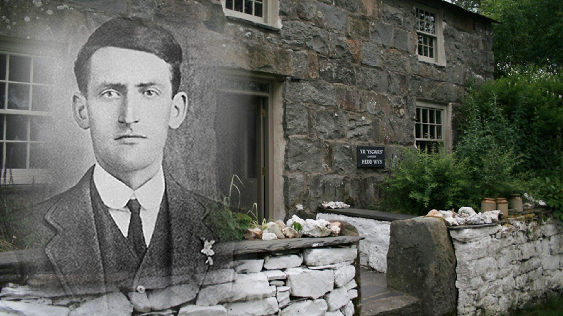 hedd wyn