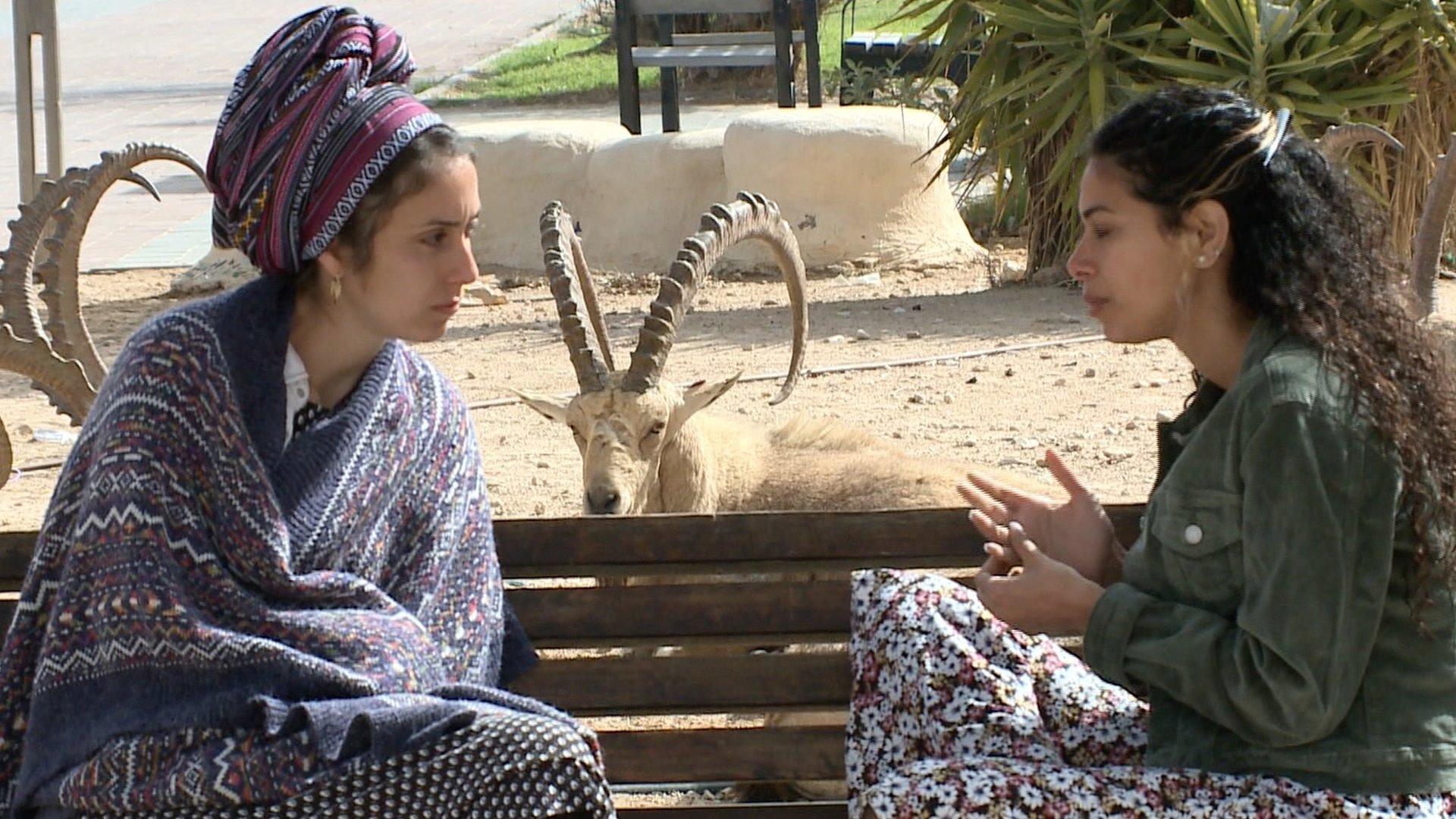 Two women on a bench in front of ibex in Mitzpe Ramon