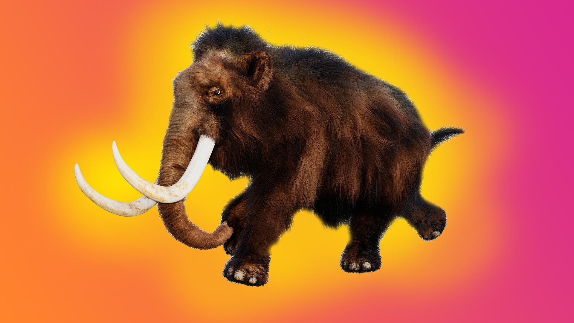 Woolly Mammoth