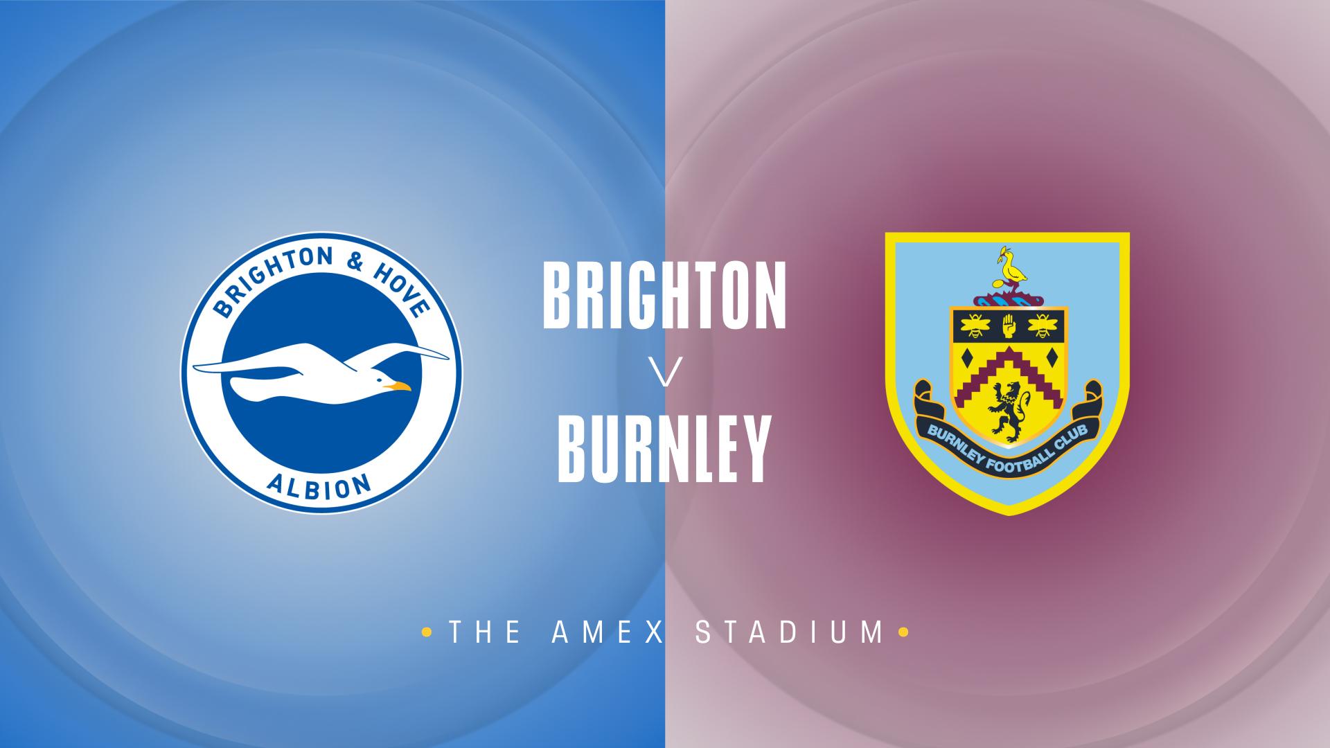 Brighton v Burnley