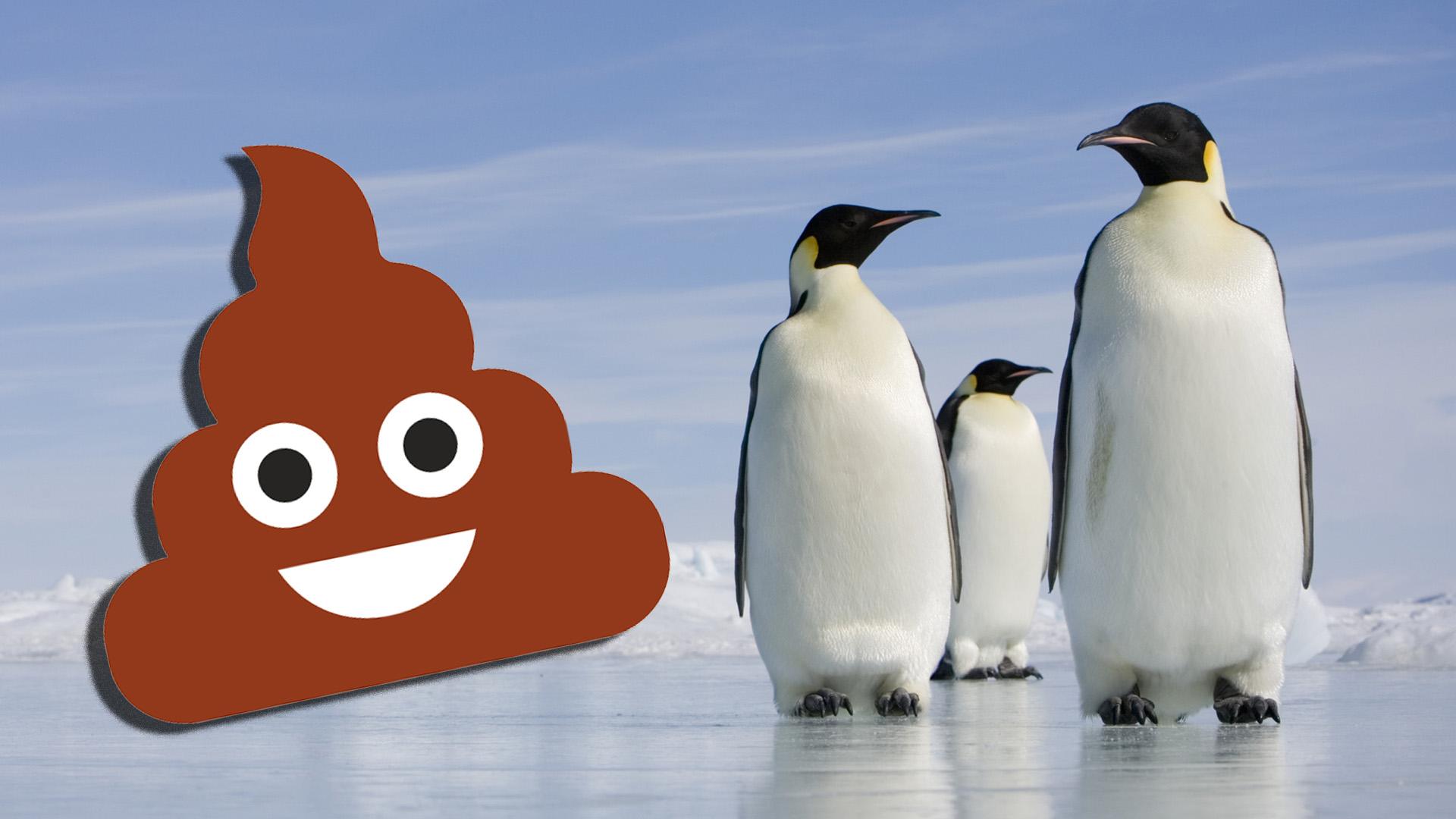 Emperor penguins with a poo emoji