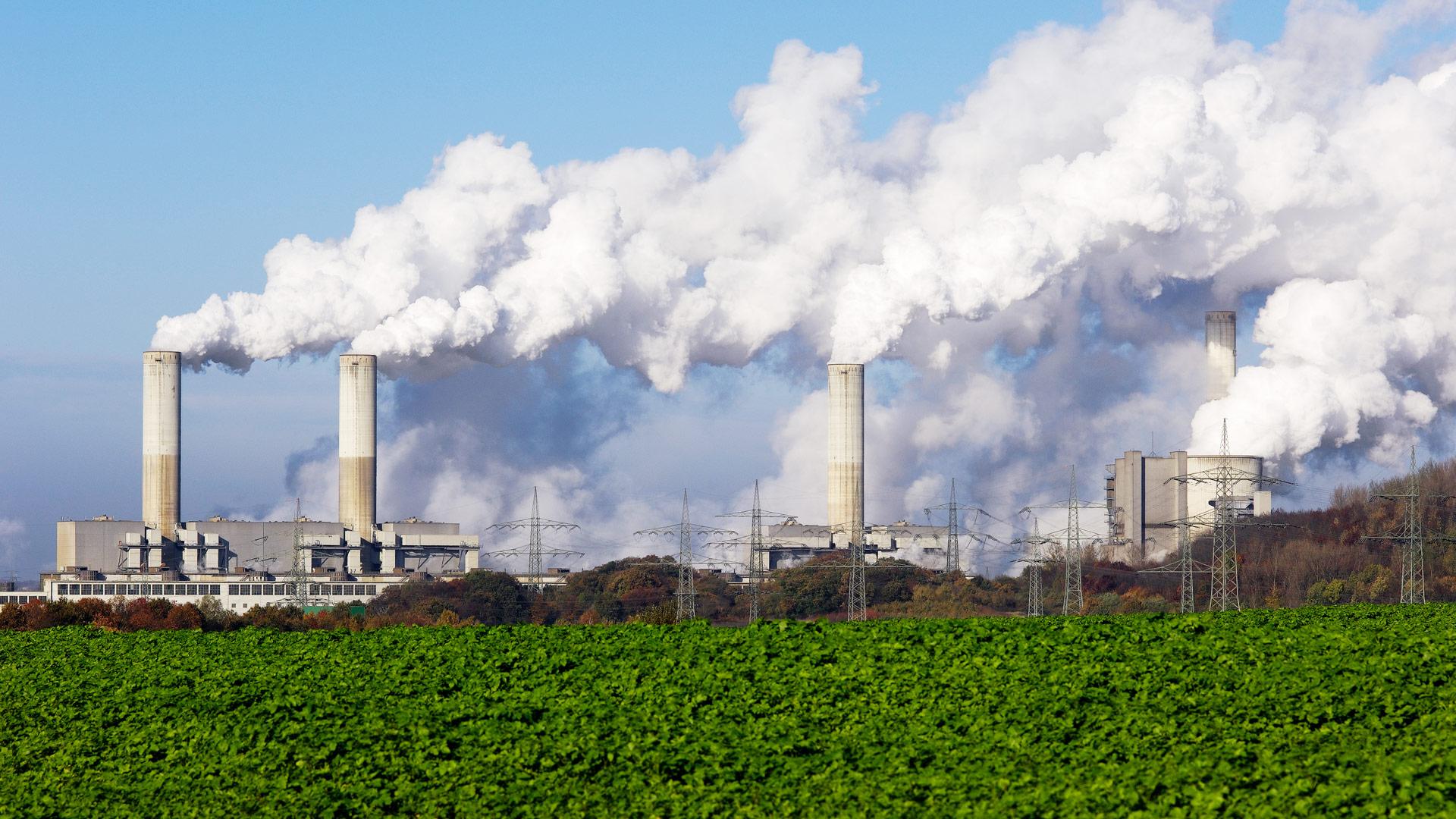 Power plant and green field