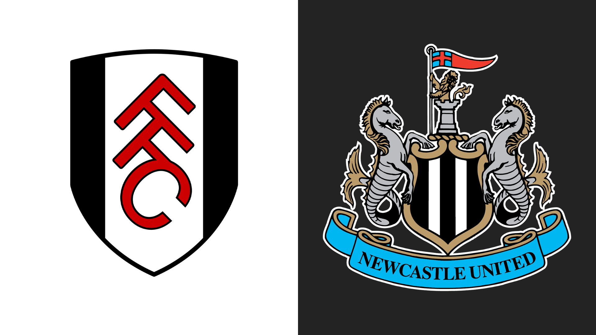 Fulham v Newcastle