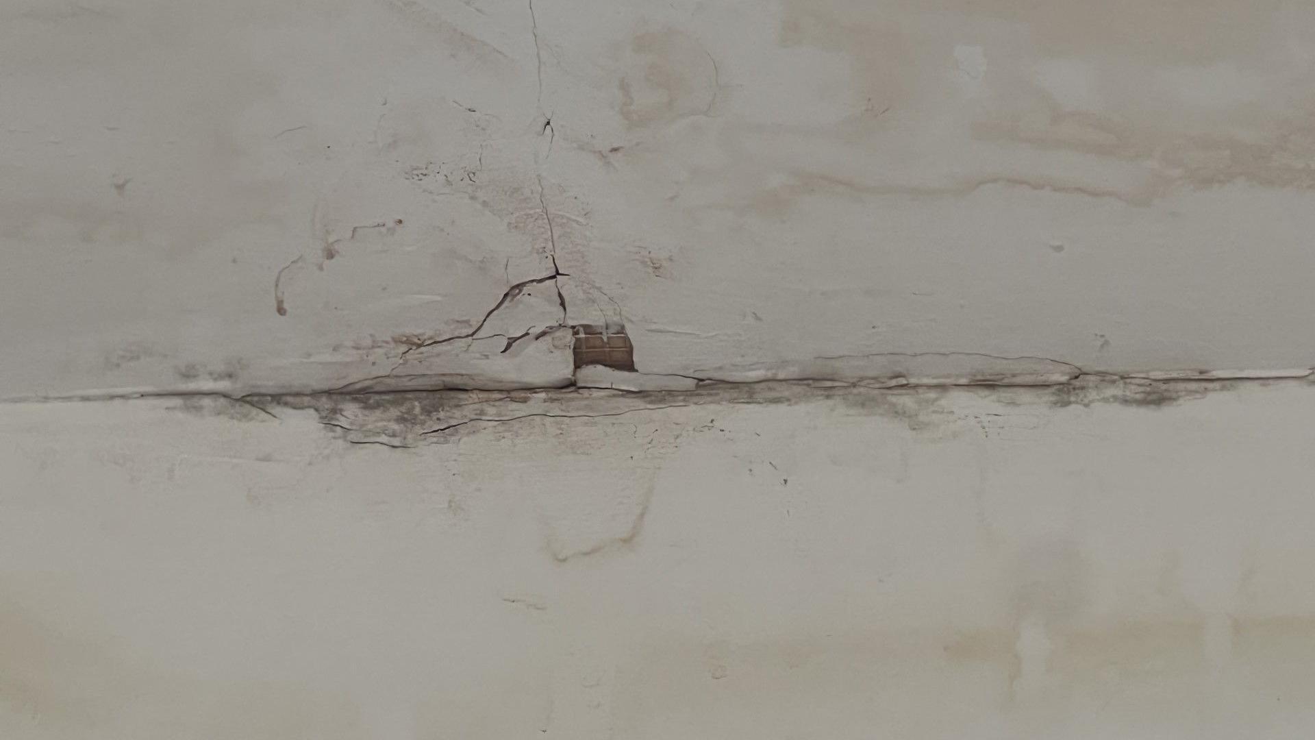 Plaster damage in ceiling 