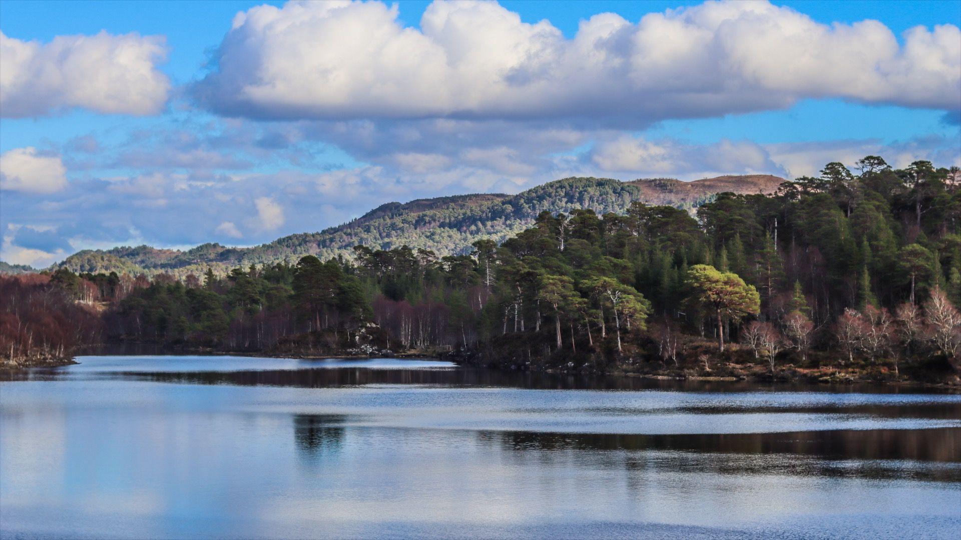 A large area of woodland, lochs, hills and mountains with a bright blue sky above