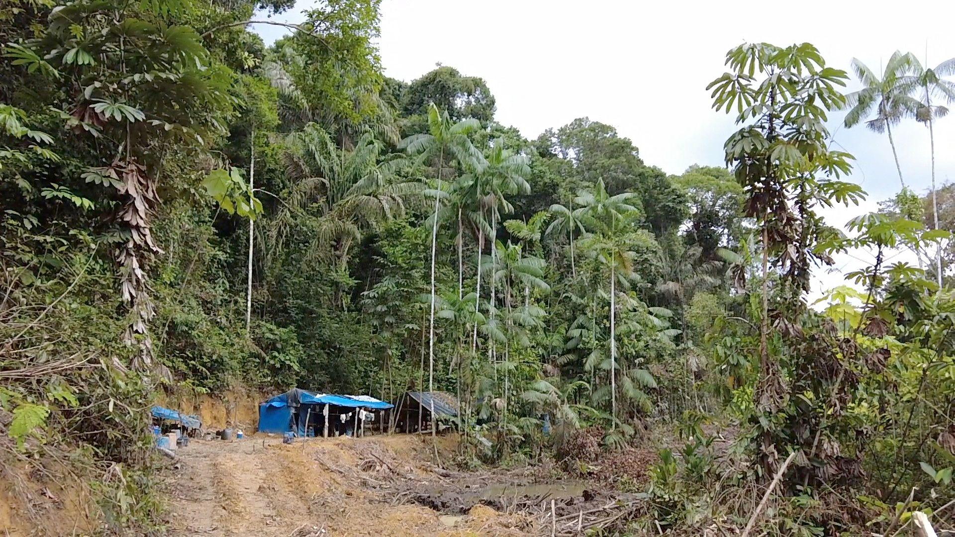 An illegal gold mine in the rainforest