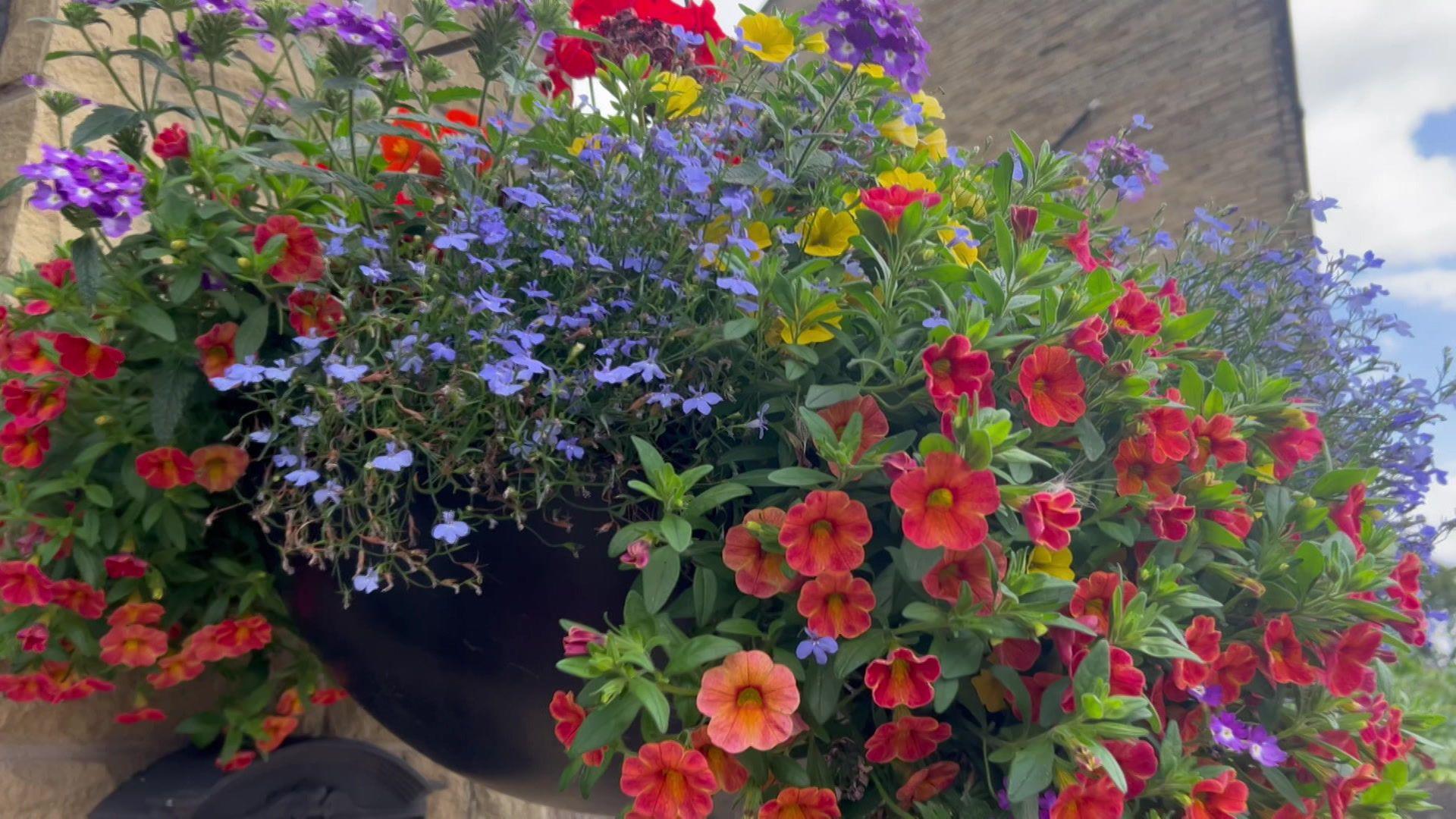 A hanging basket bursting with red, orange, yellow, purple and blue flowers.