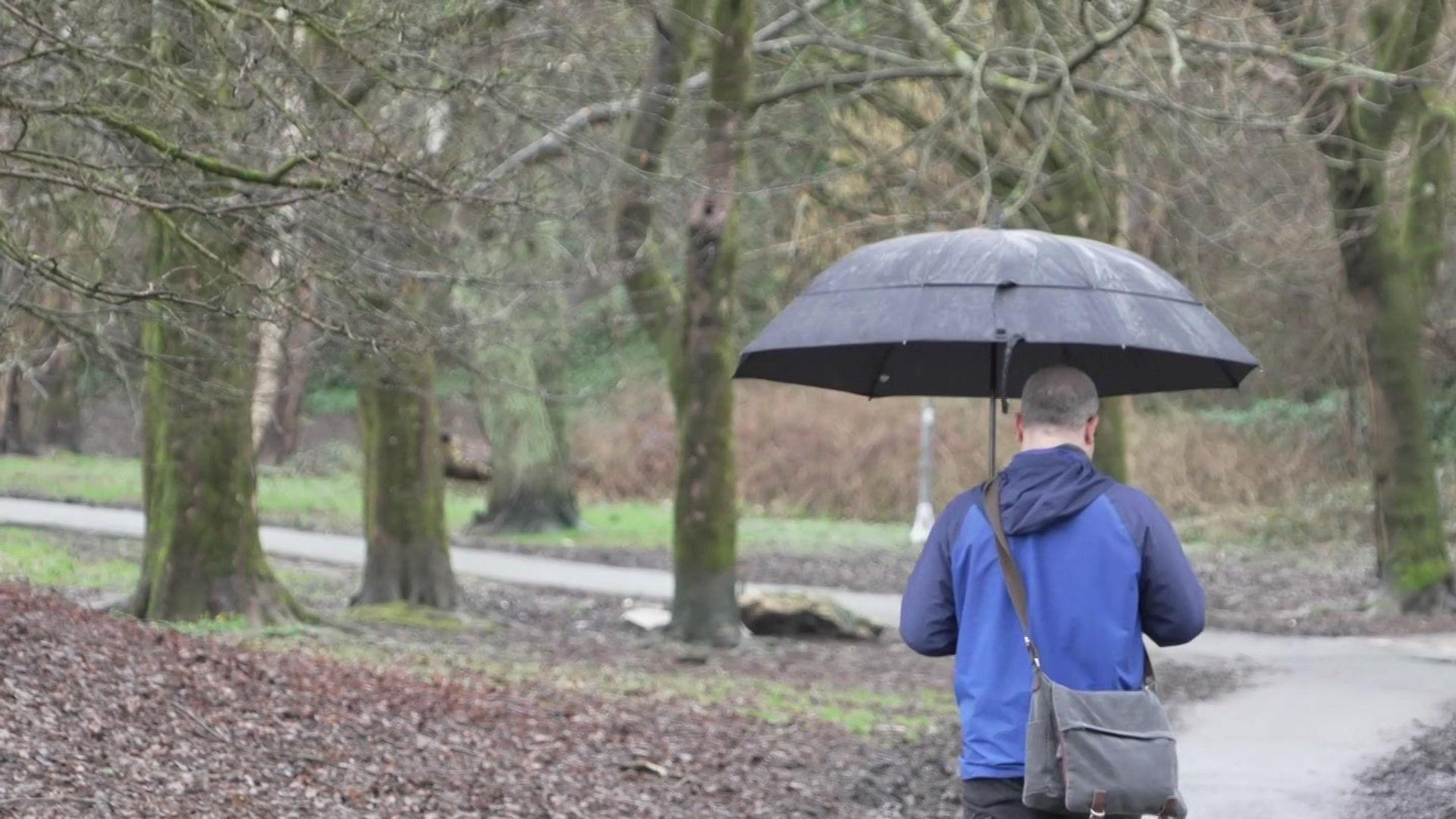 Man walks through trees with umbrella
