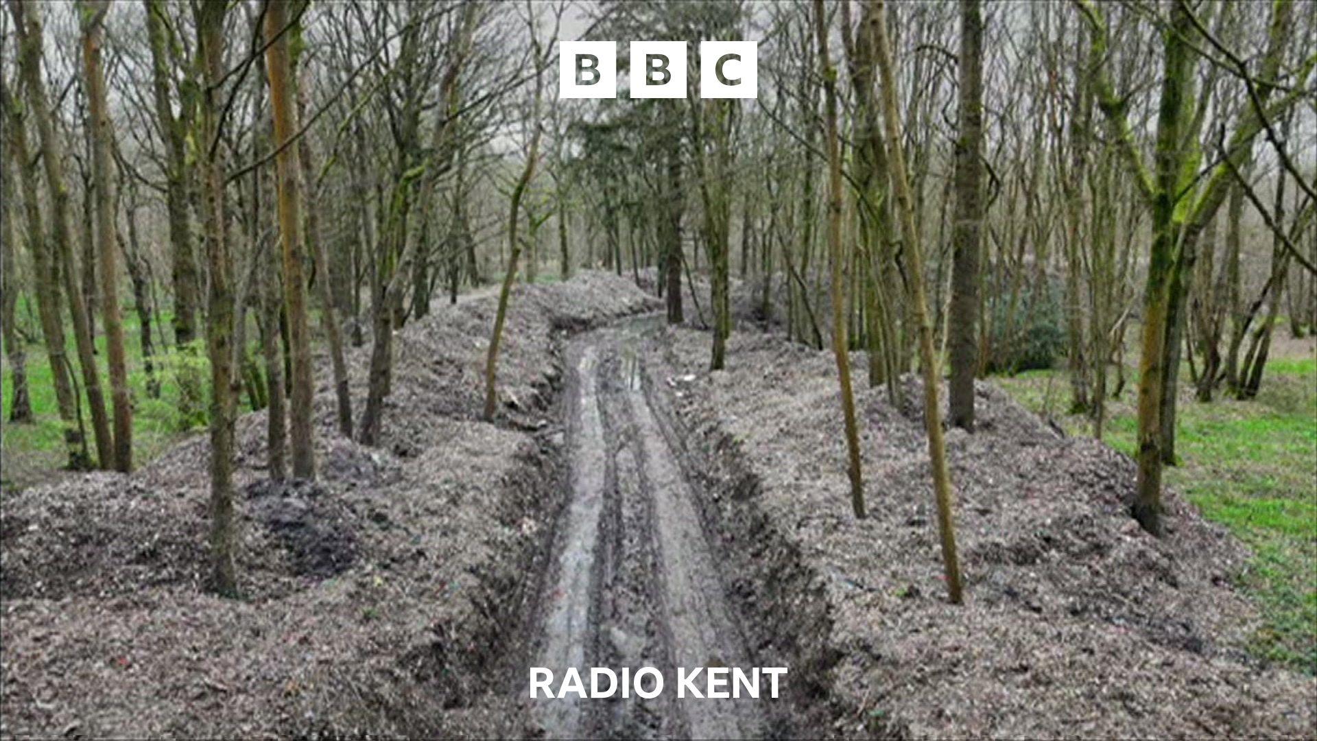 A track through the woods leads off into the distance.  Either side of the track, several meters wide and deep lays fly-tipped mulched rubbish.  The ground is damp and the trees are dying.