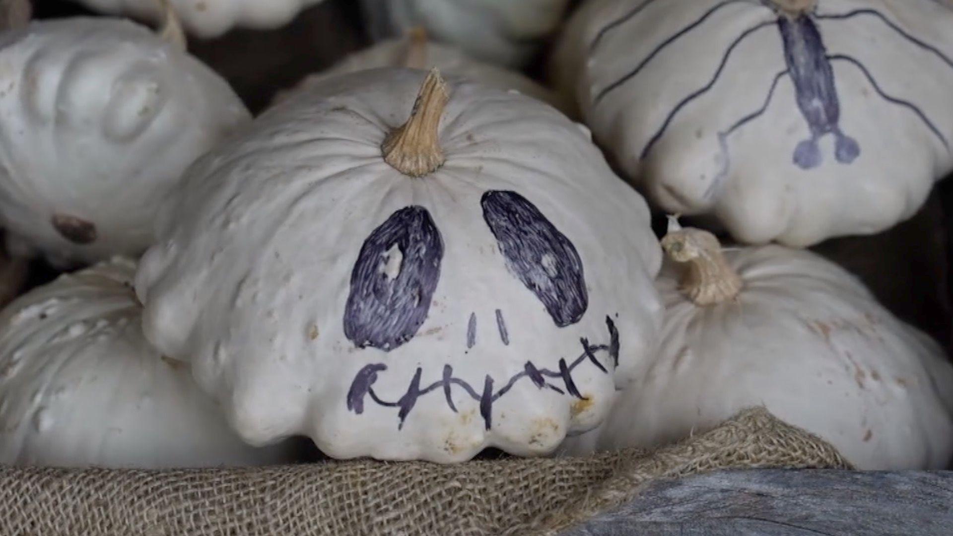 A white pumpkin with drawn on spooky features