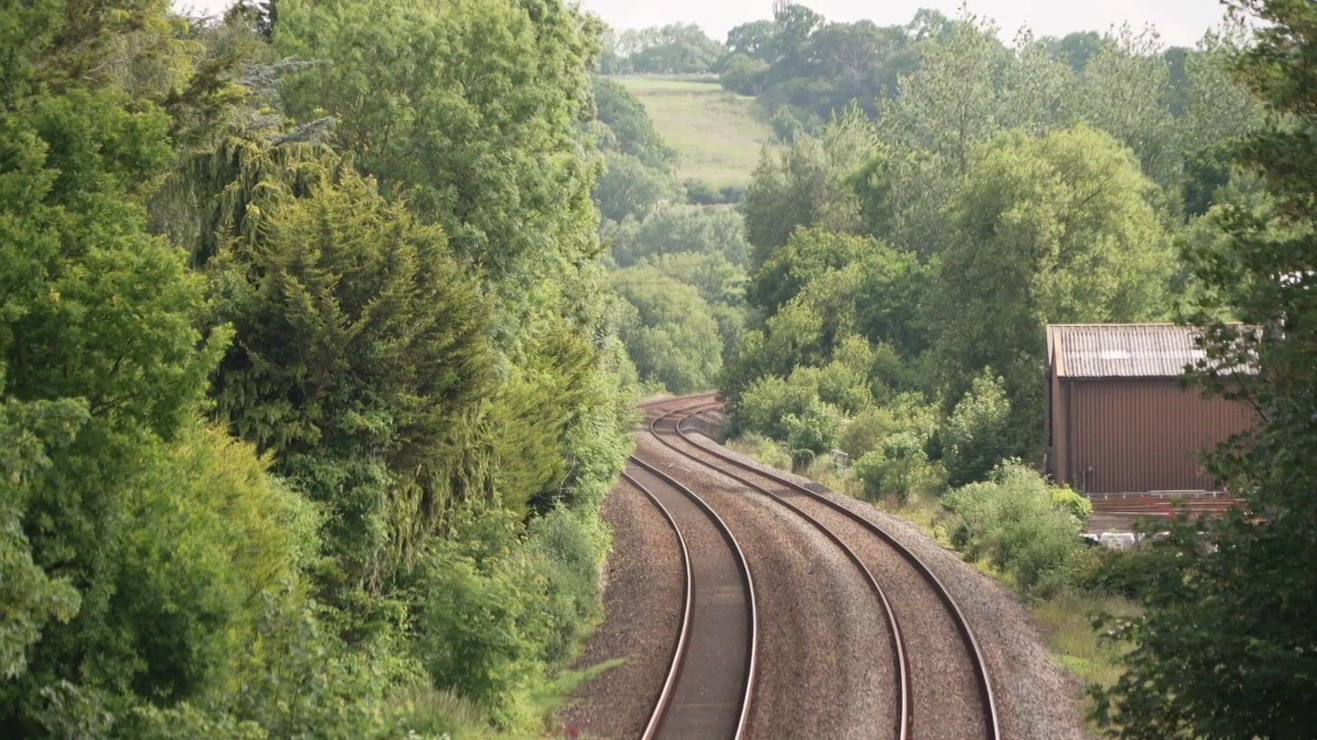 A pair of train tracks wind their way through a wooded area.