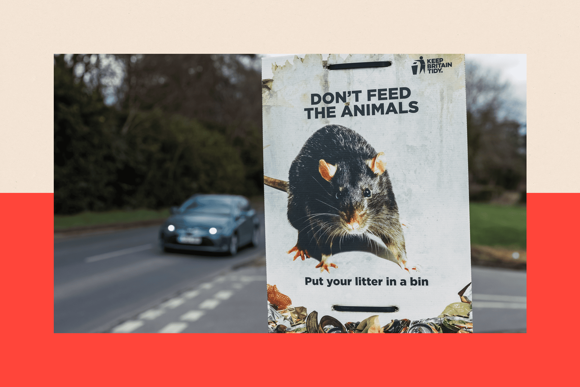 A sign warning not to feed animals, with a picture of a rat. 'Put your litter in a bin'