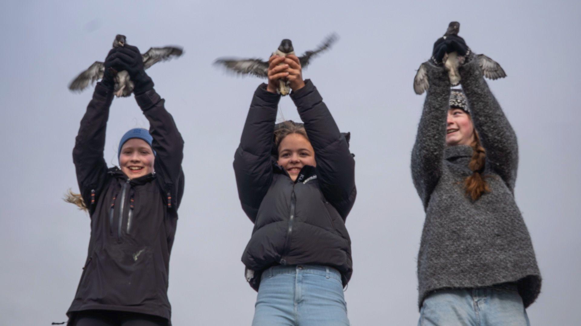 Three young women hold puffins that are flapping their wings
