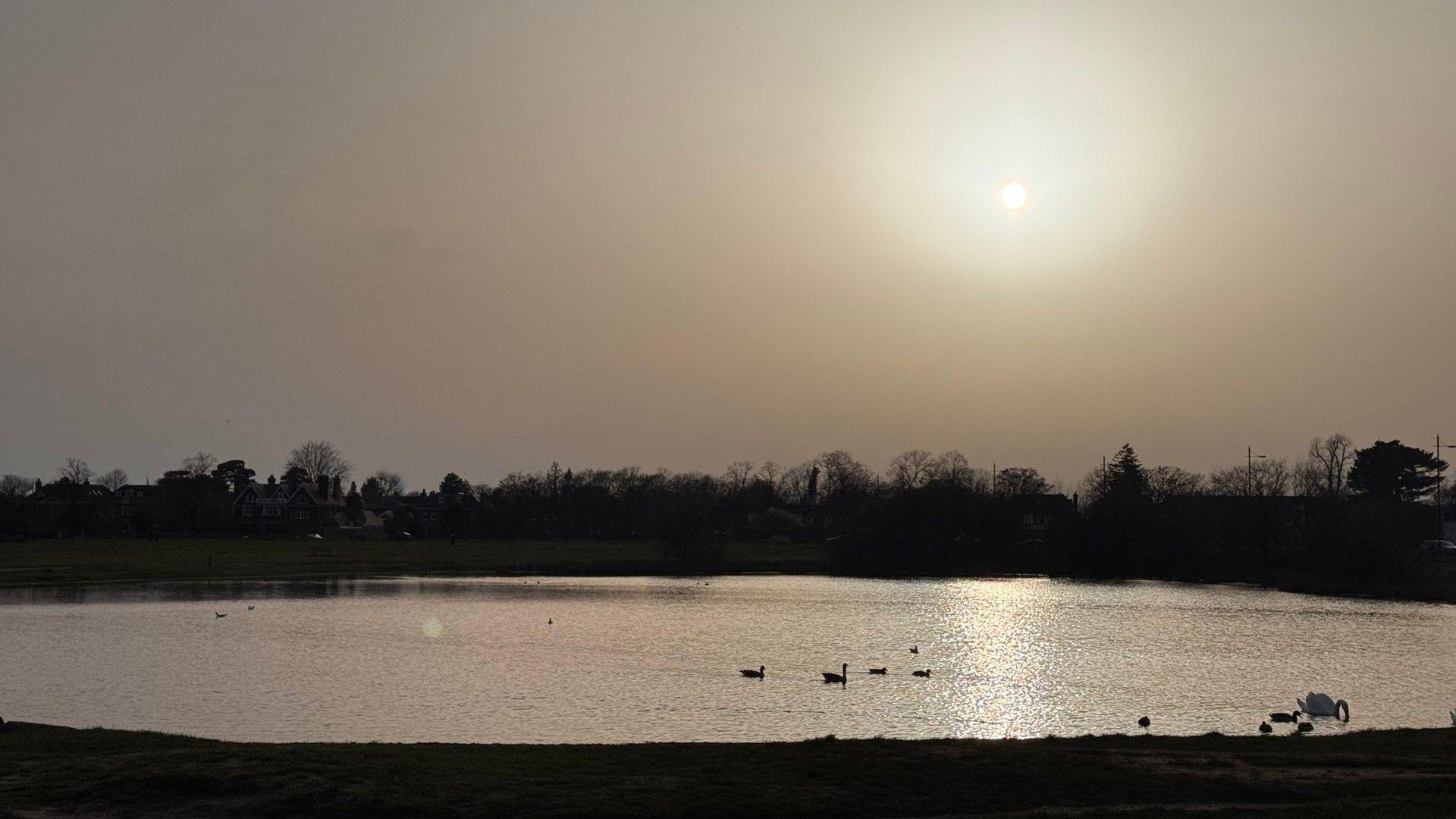 A photo of sunrise through a Saharan dust layer at Wimbledon Common
