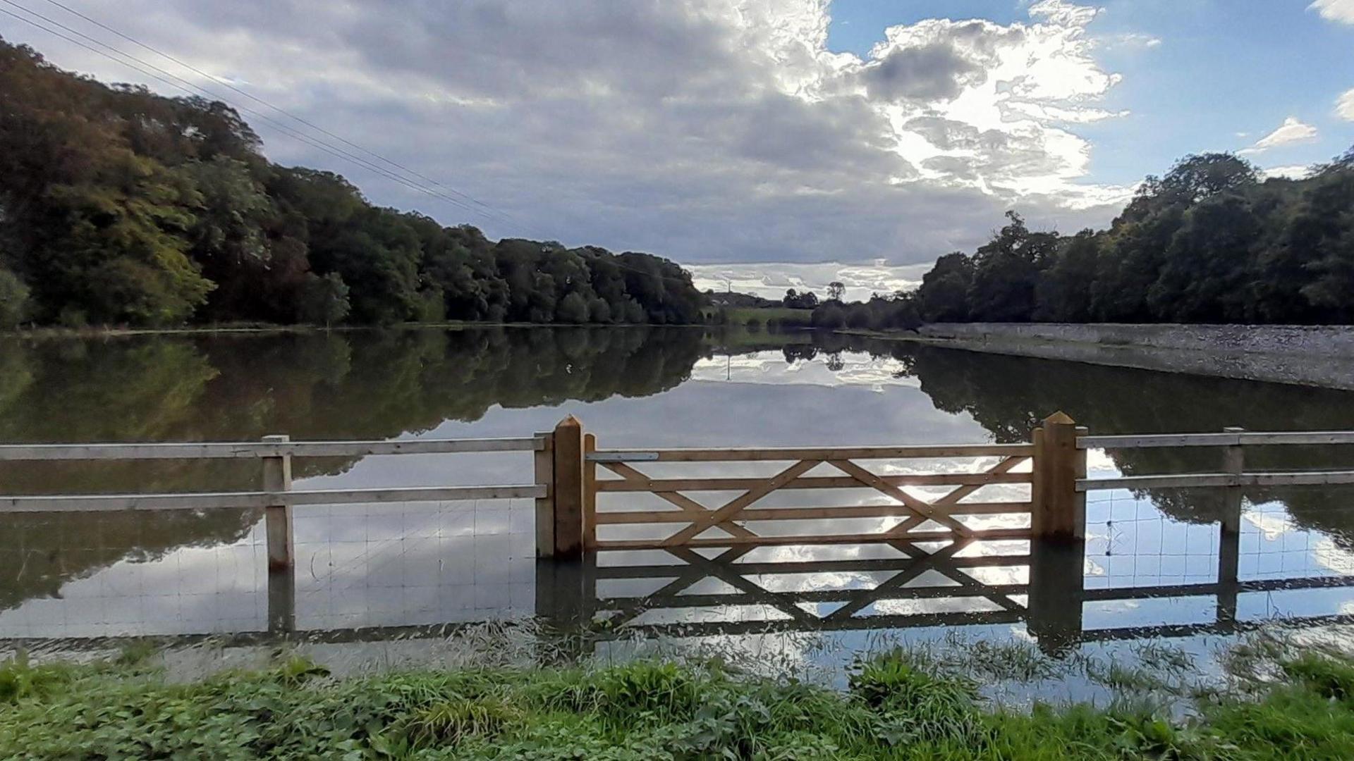 Field underwater, with a fence and gate partly submerged.